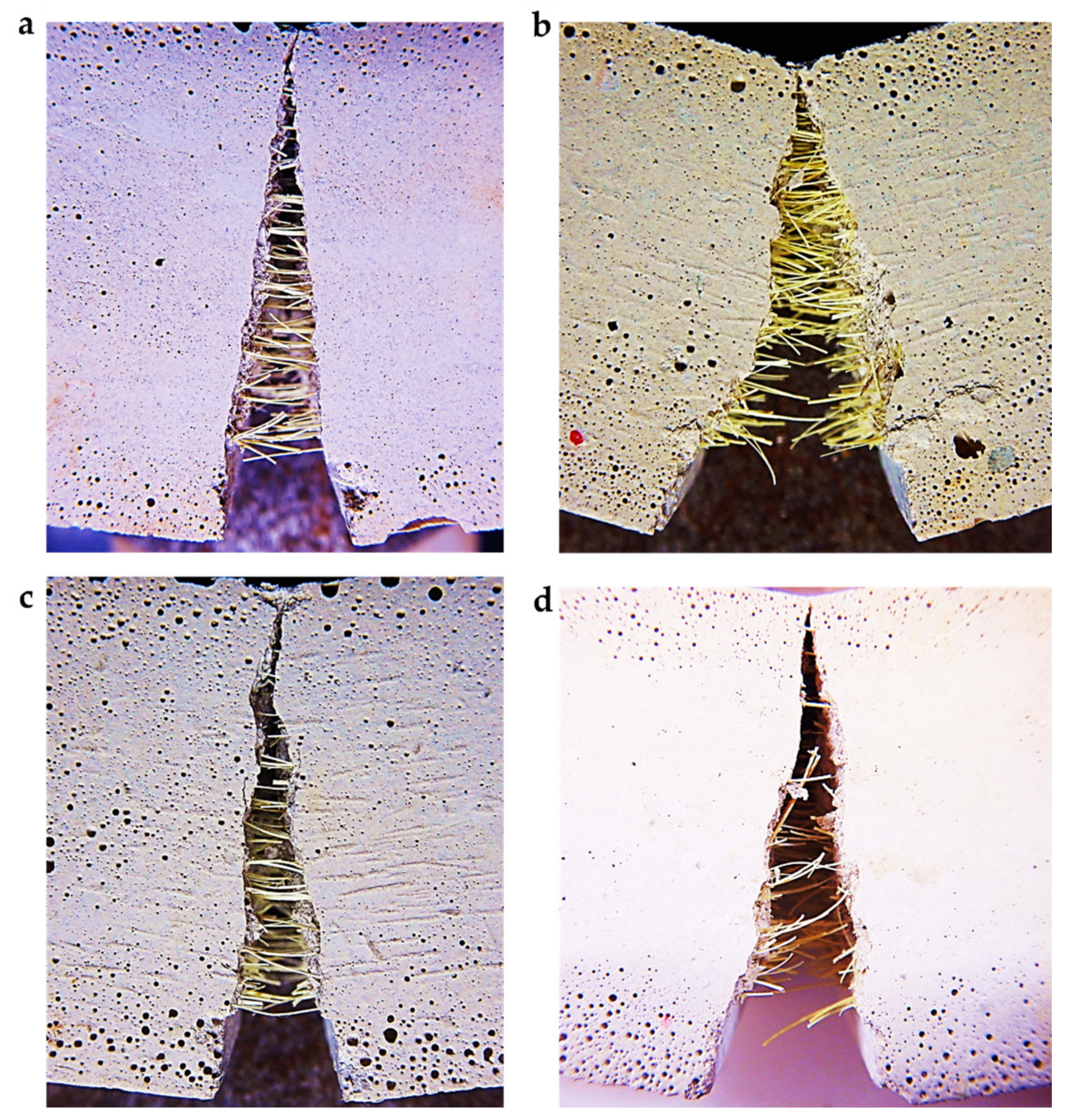 Fibers 09 00068 g021 550