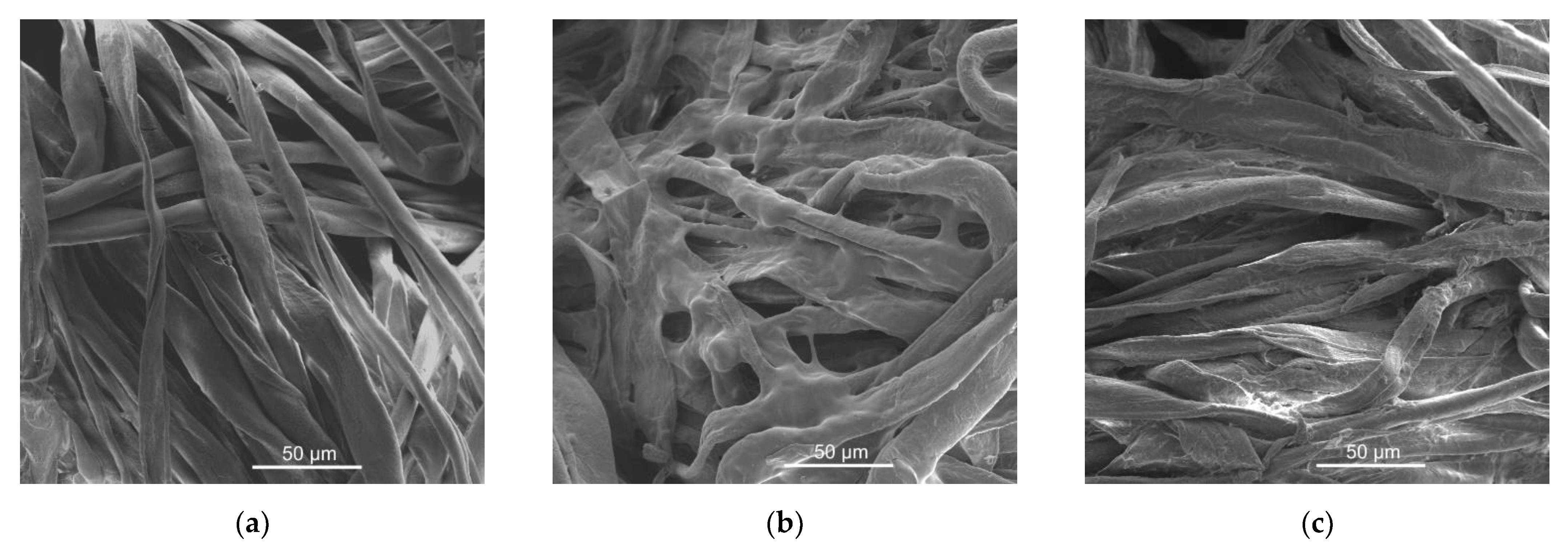 Fibers 09 00069 g007