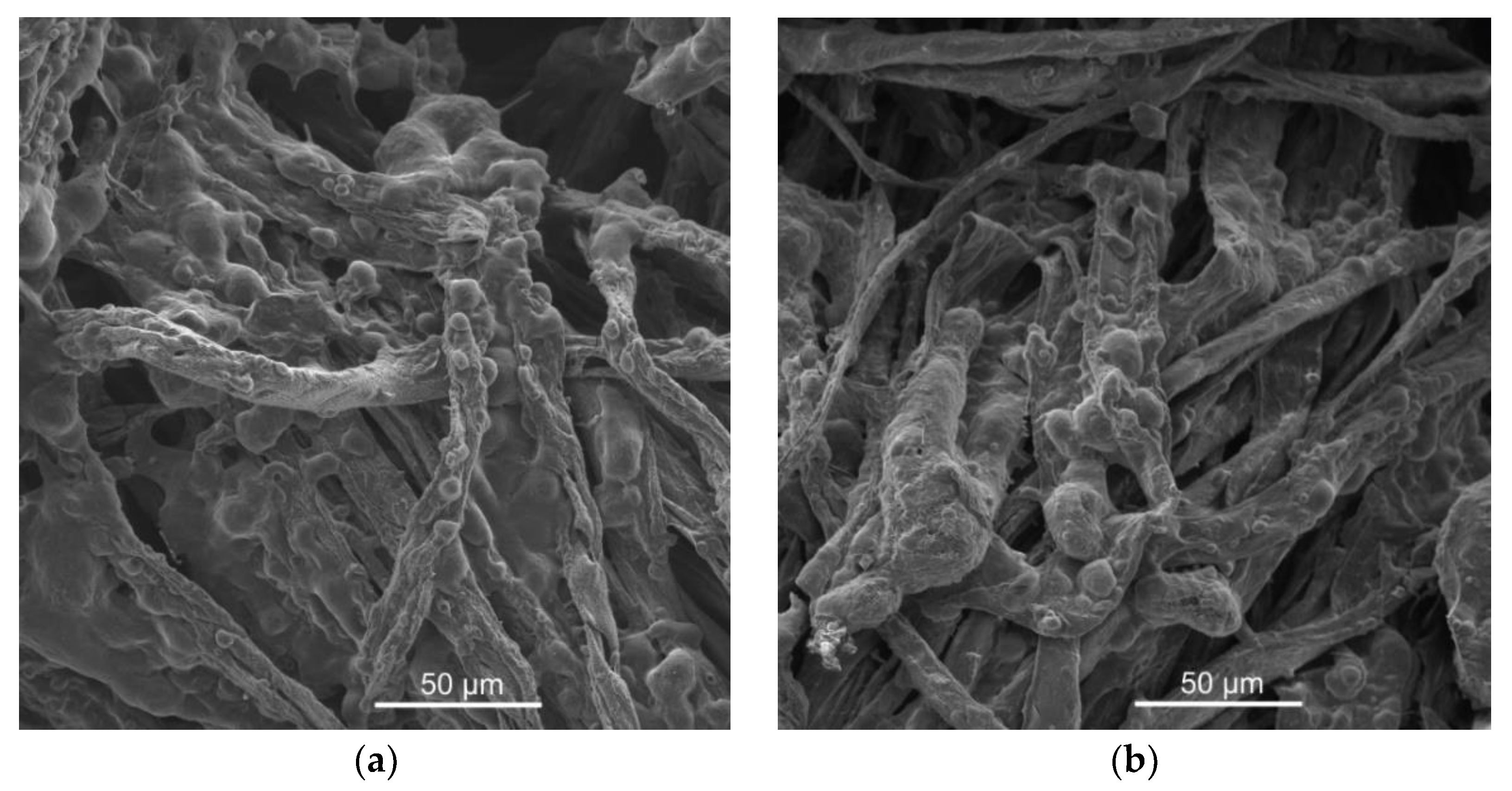 Fibers 09 00069 g008