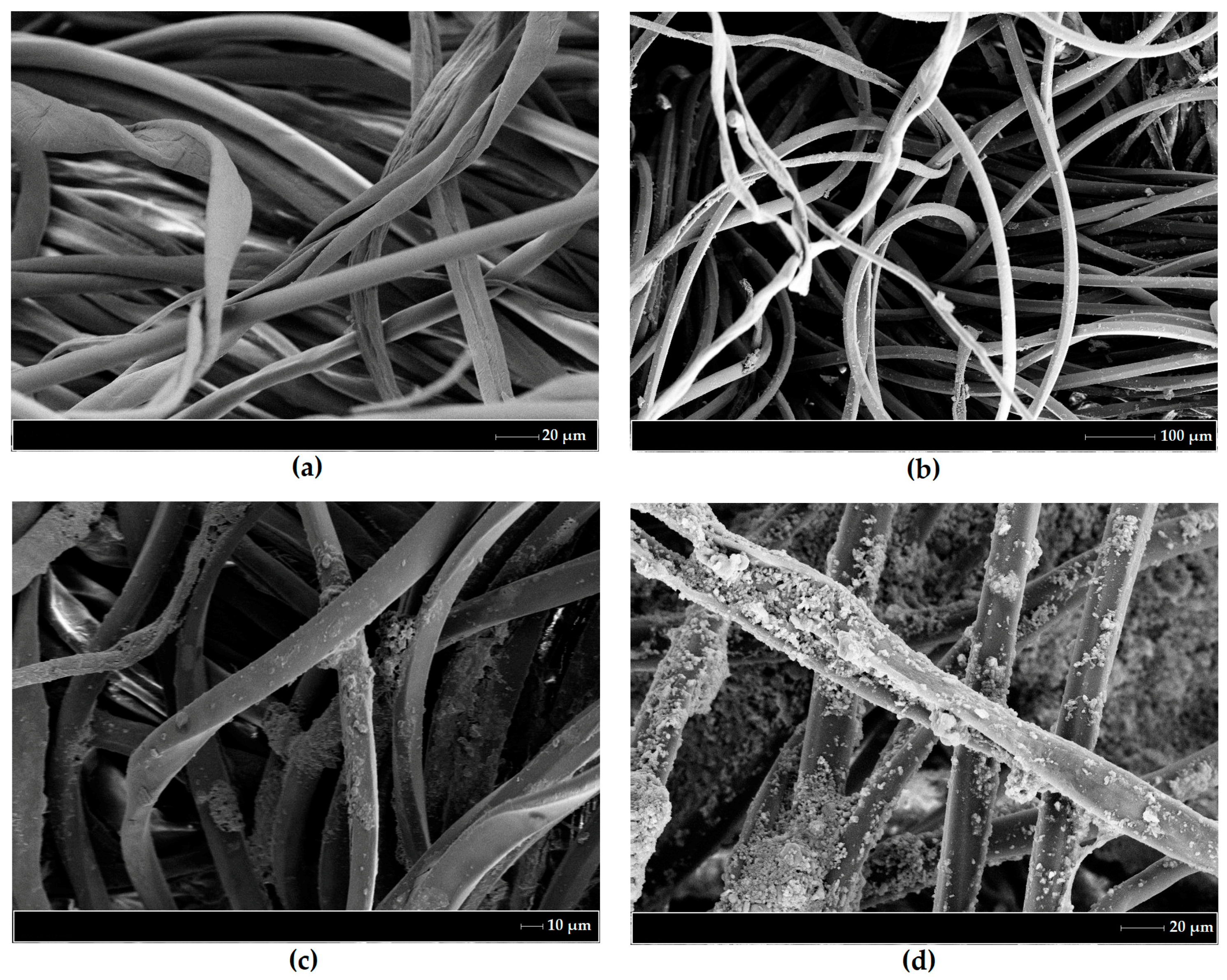Fibers 09 00070 g008