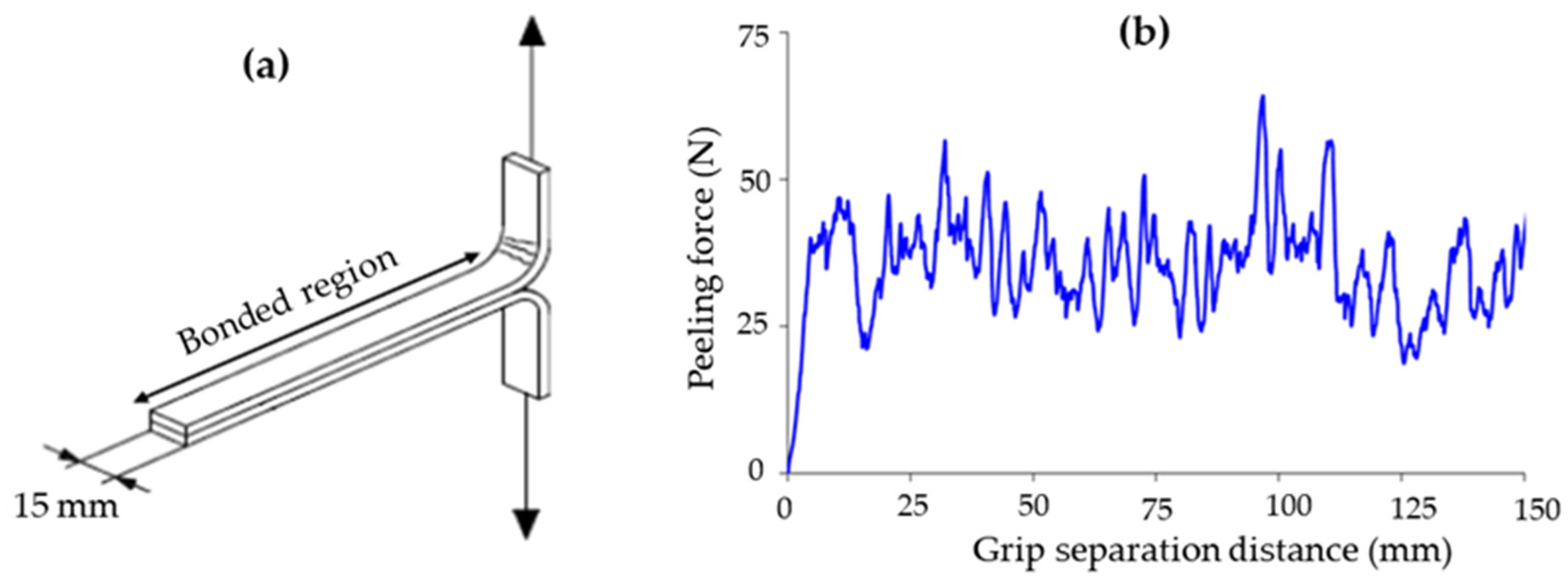 Fibers 10 00002 g001