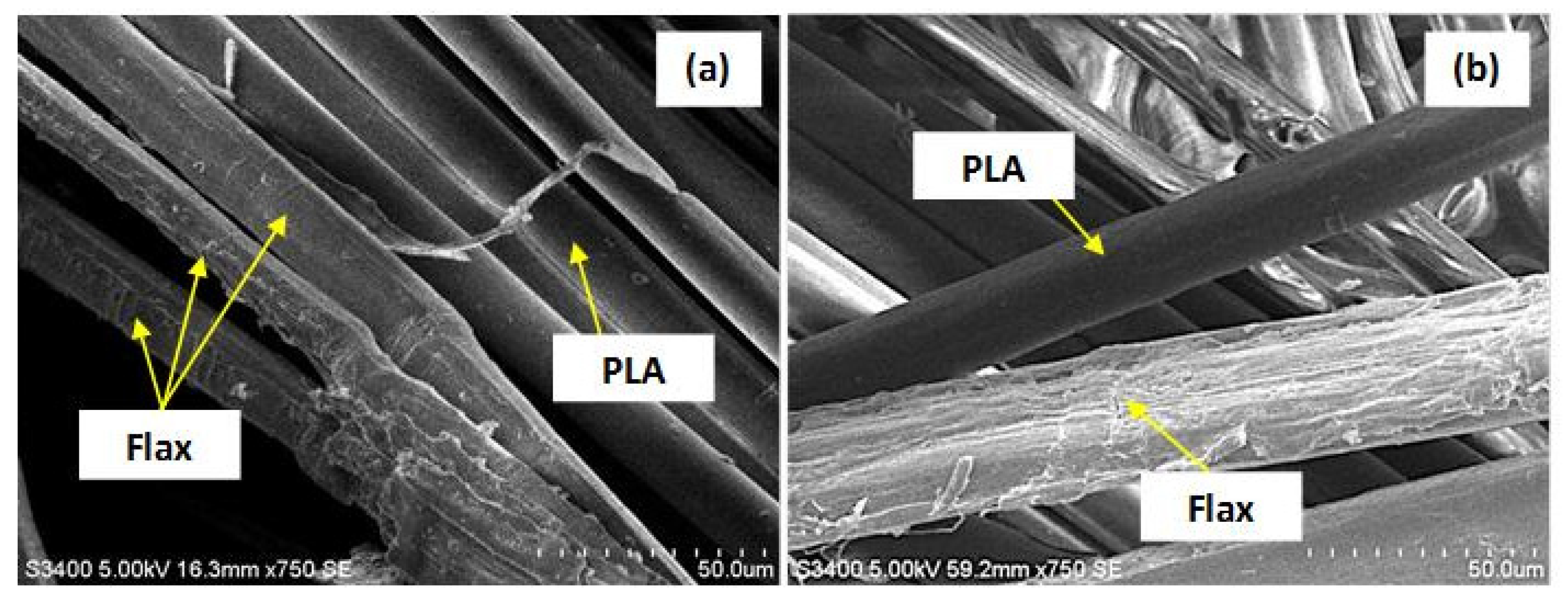 Fibers 10 00002 g007