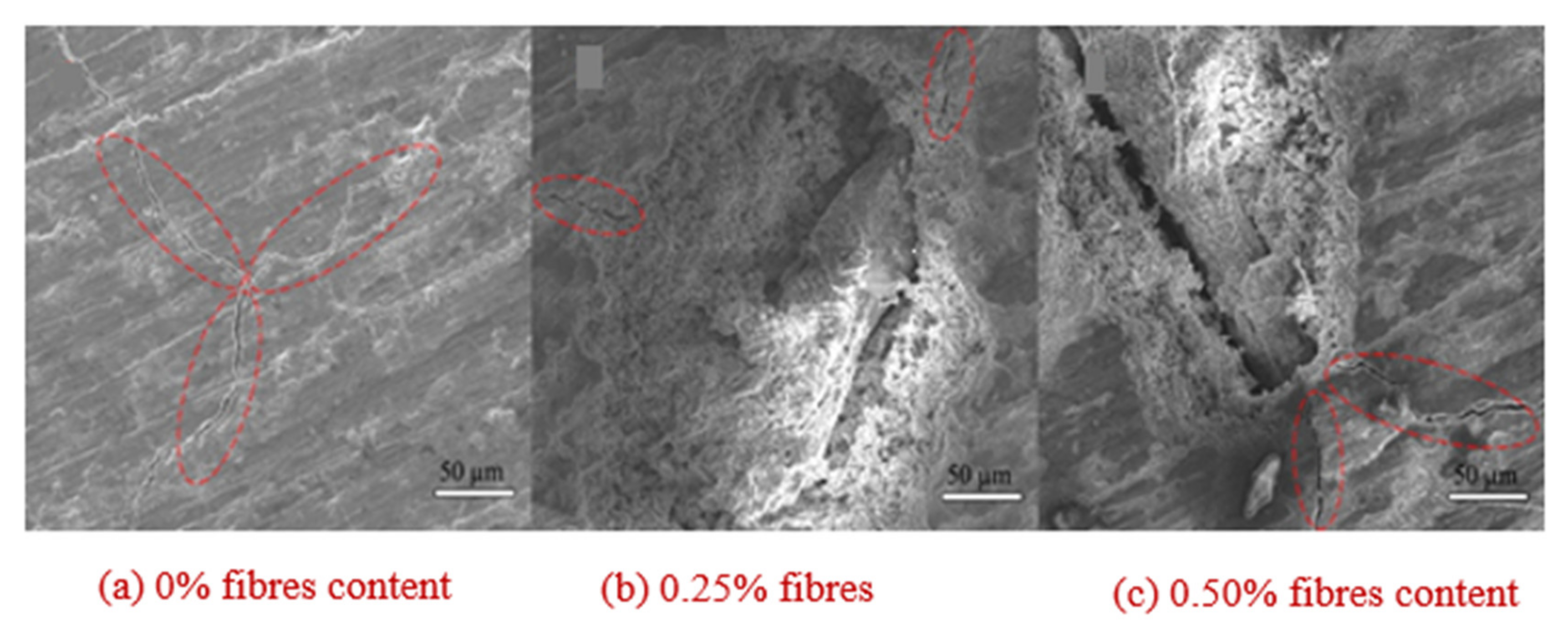 Fibers 10 00003 g014