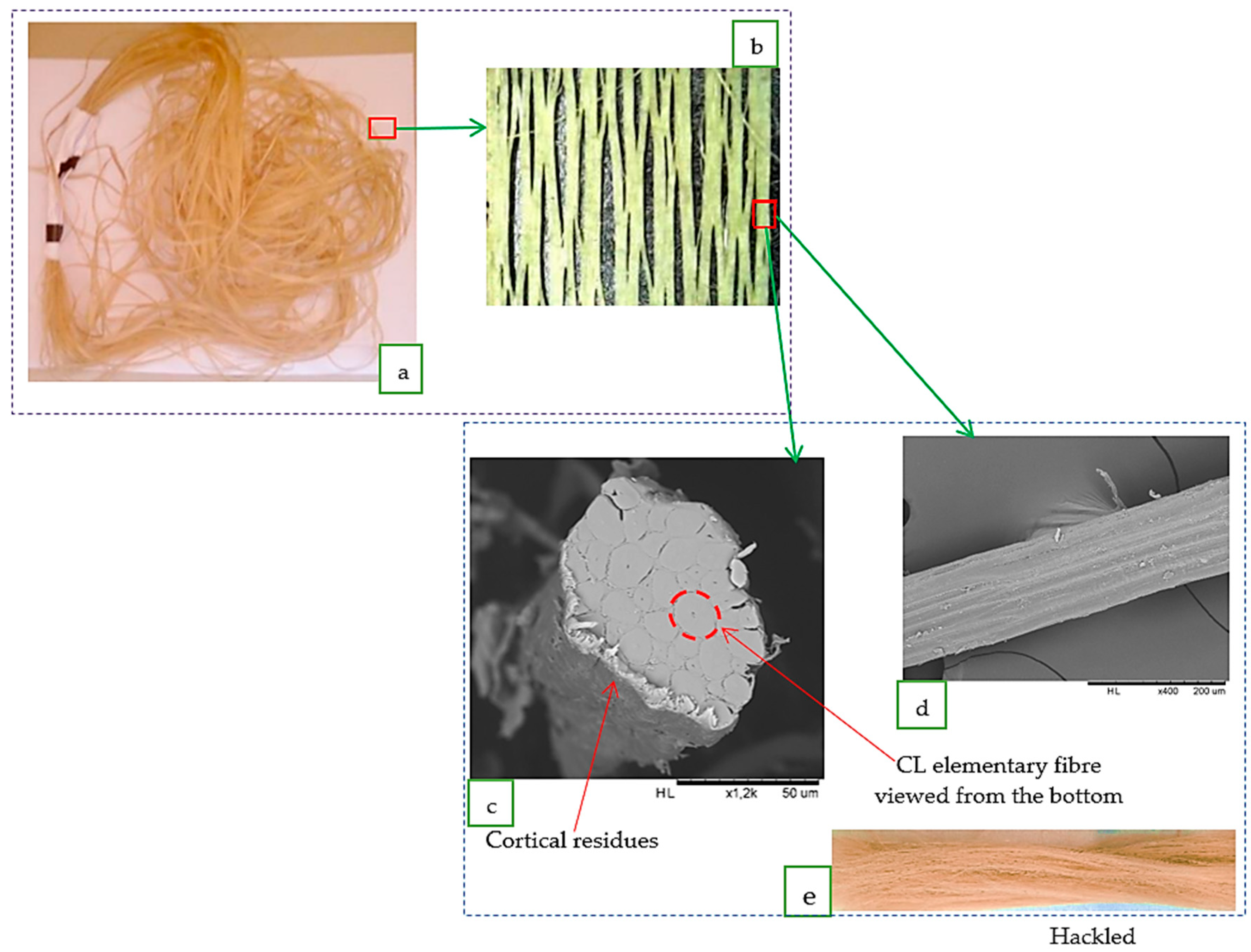 Fibers 10 00006 g002