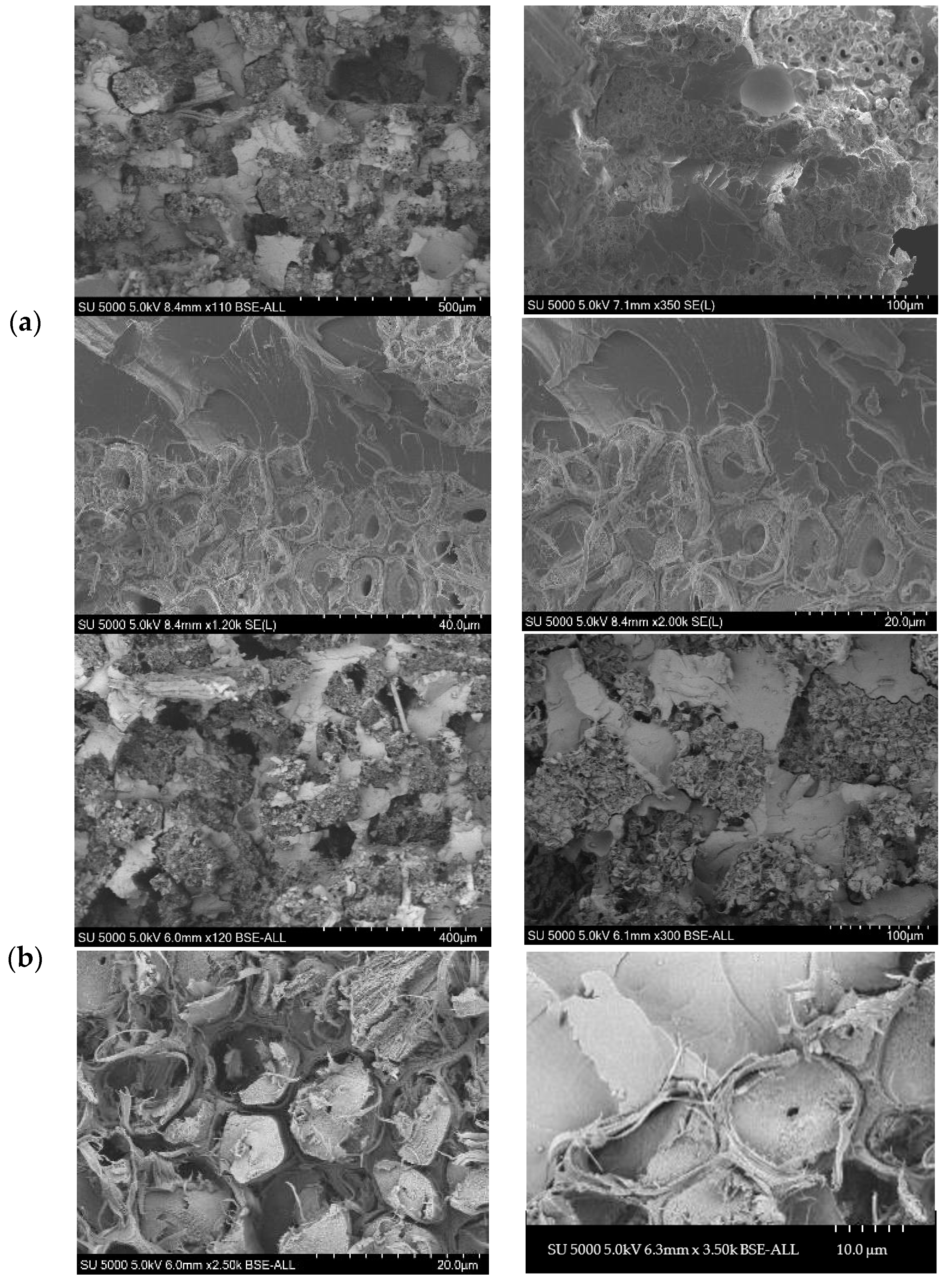 Fibers 10 00006 g004