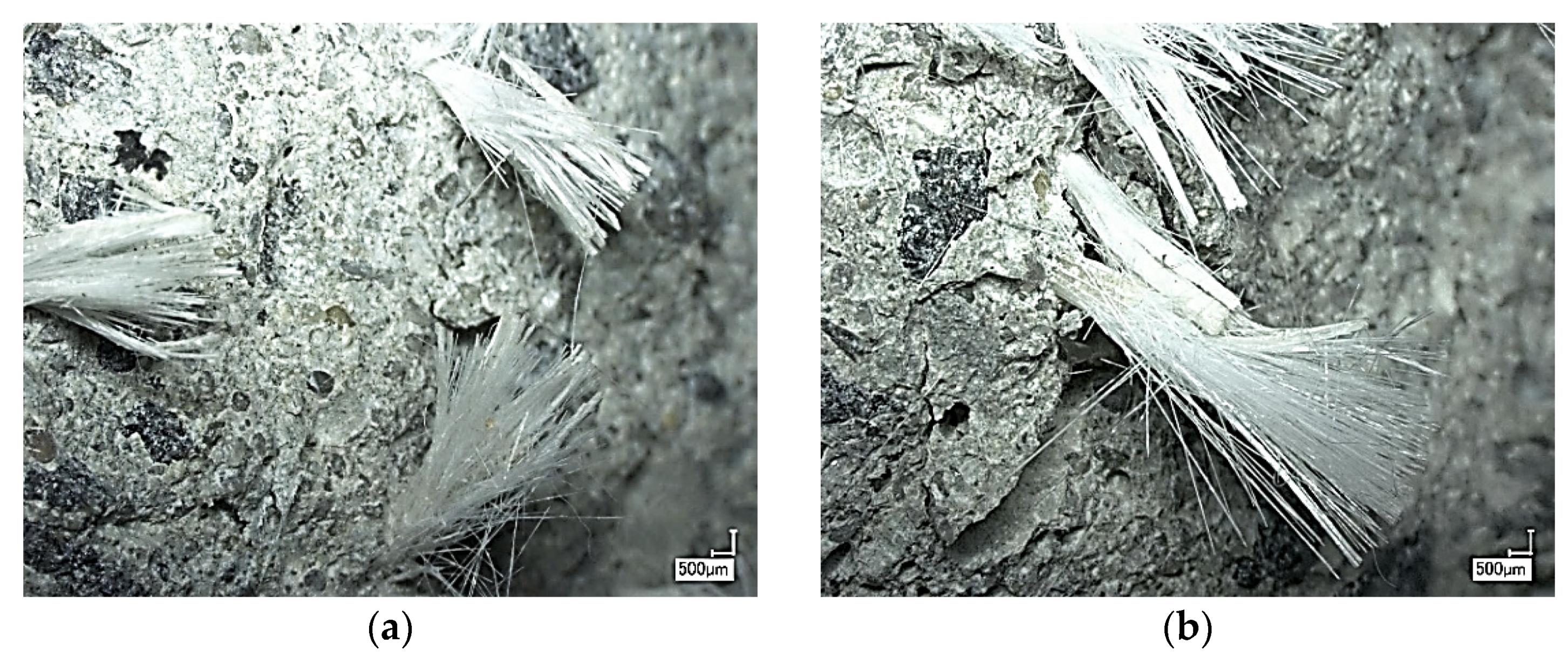 Fibers 10 00011 g006 Fibers 10 00011 g006