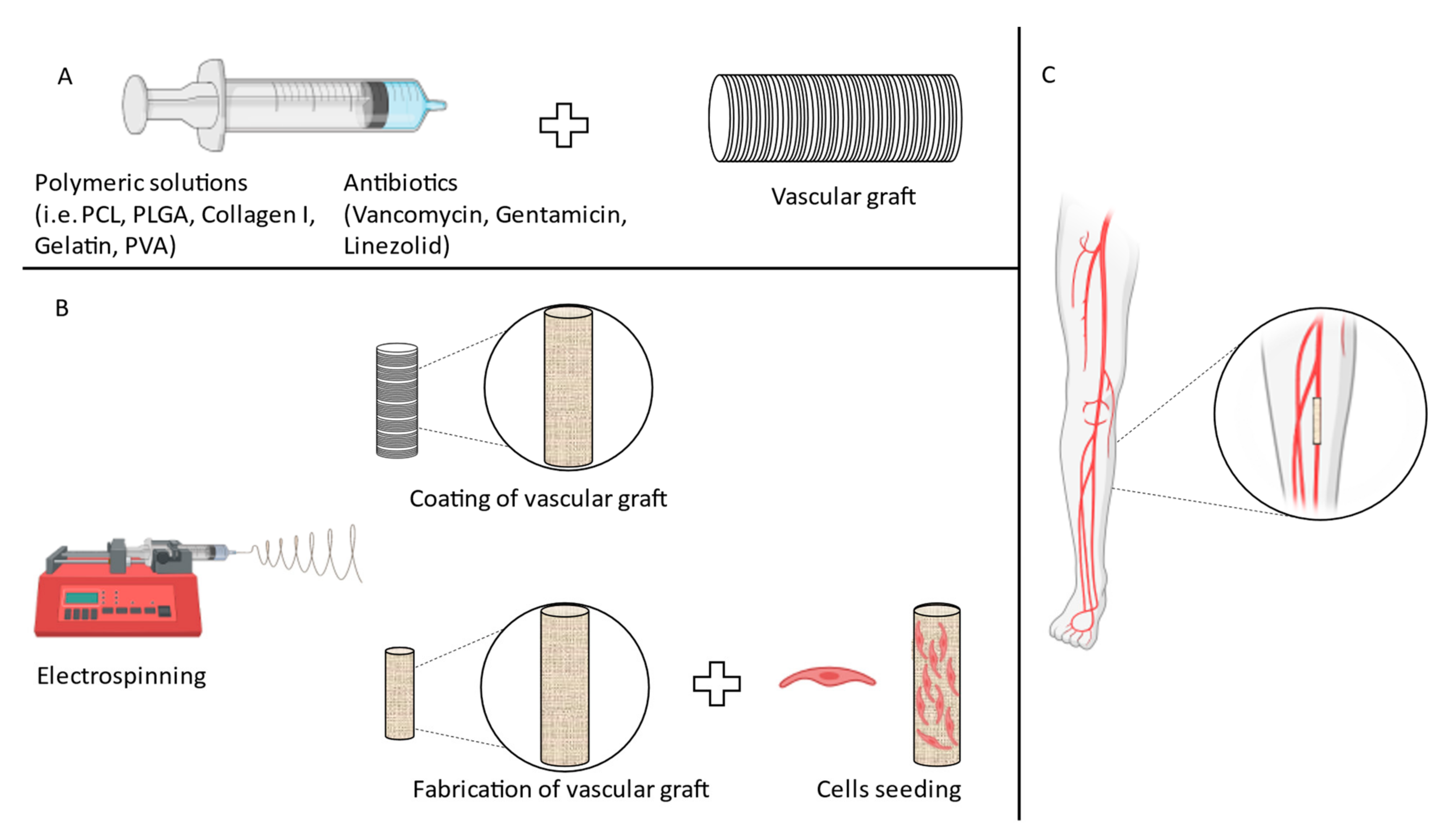 Fibers 10 00012 g001 Fibers 10 00012 g001
