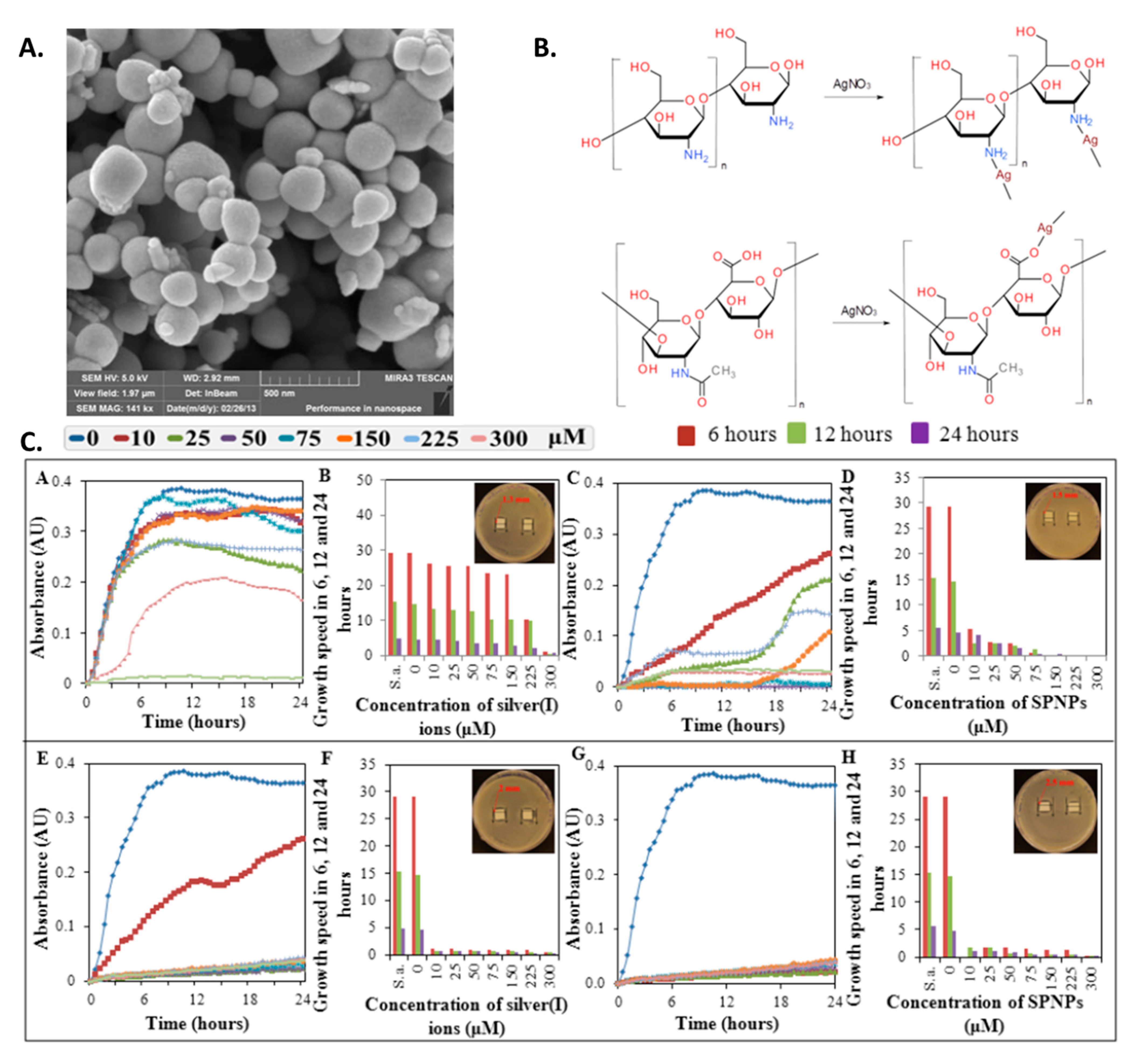 Fibers 10 00012 g002 Fibers 10 00012 g002
