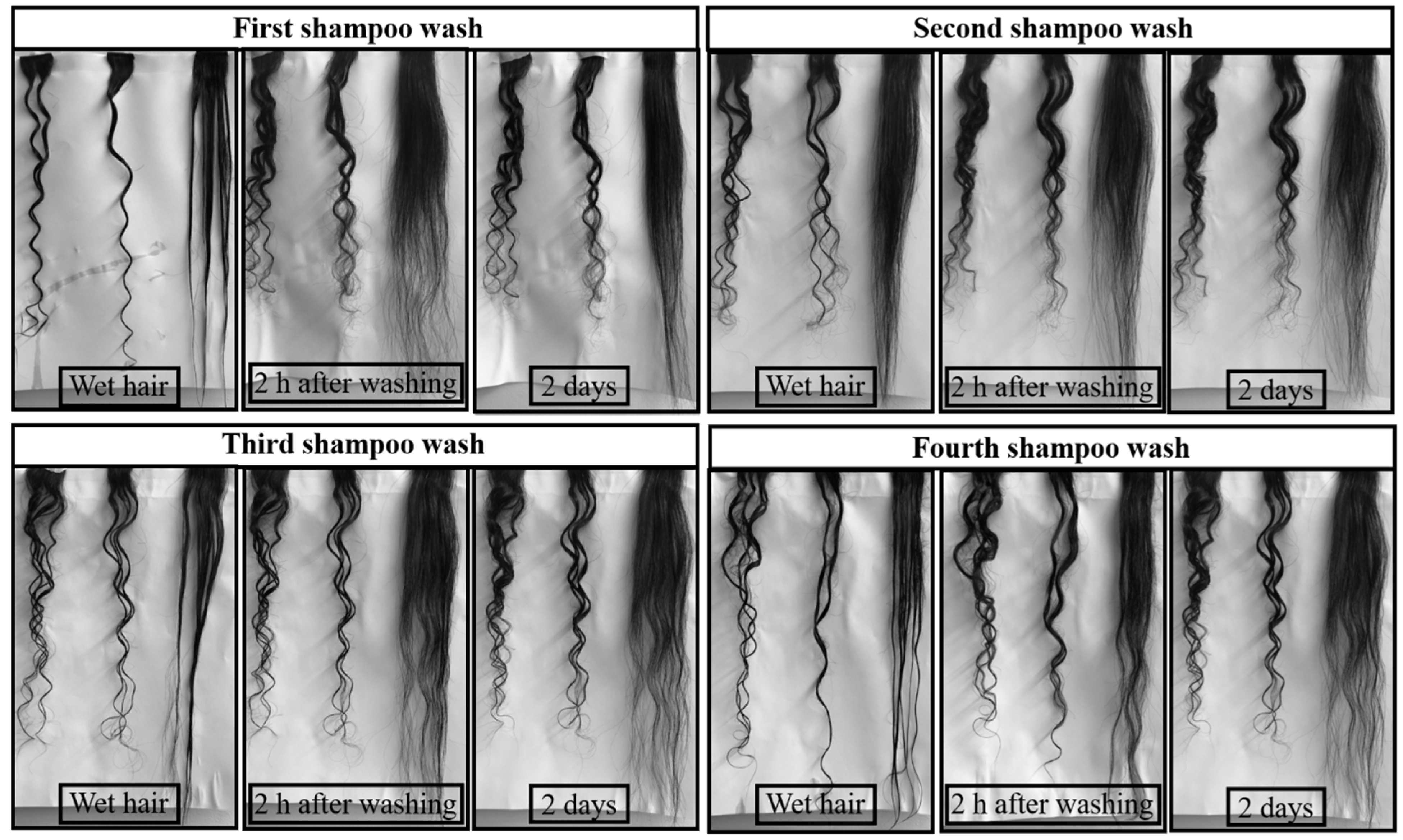 Fibers 10 00013 g003 550