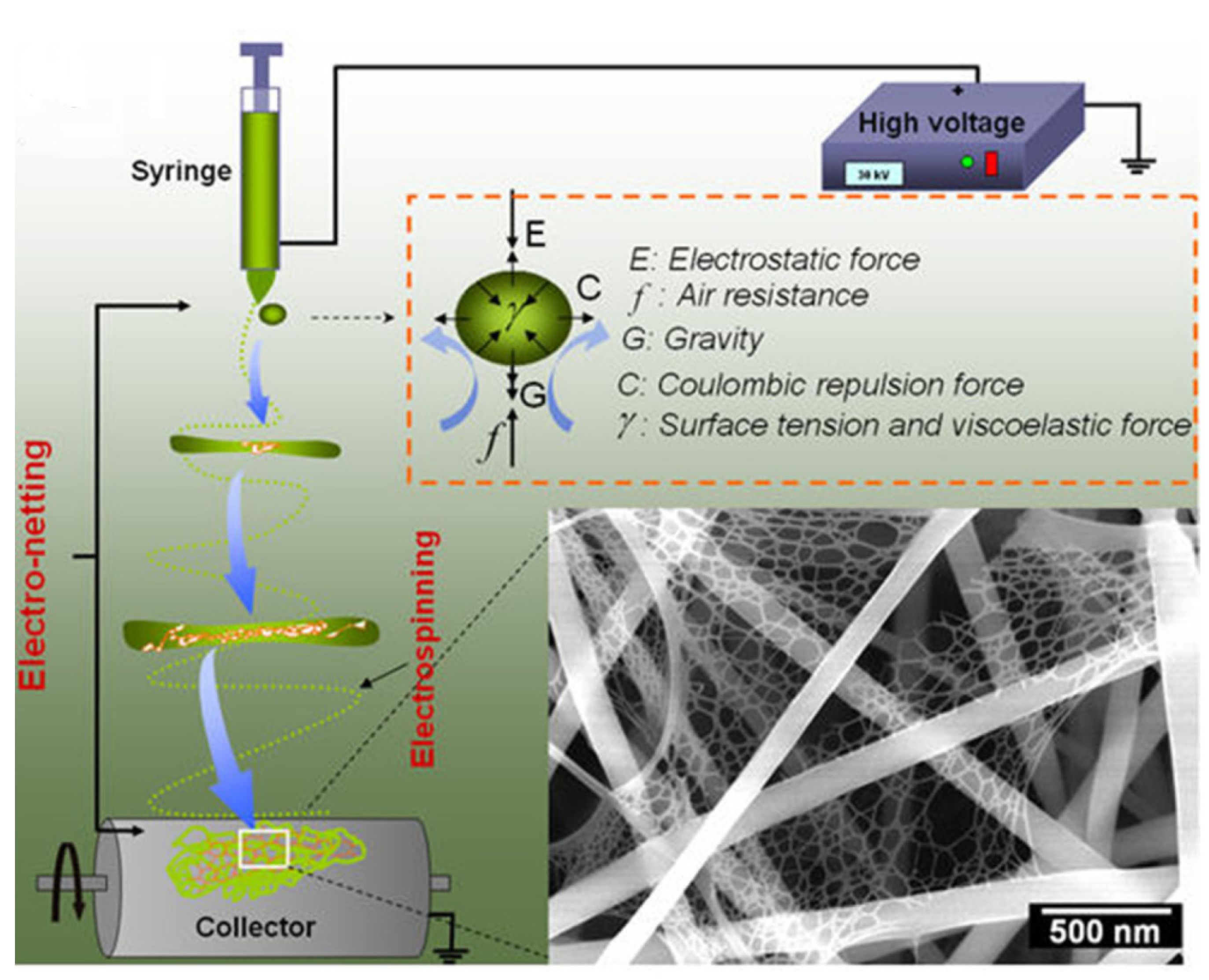 Fibers 10 00015 g012 Fibers 10 00015 g012