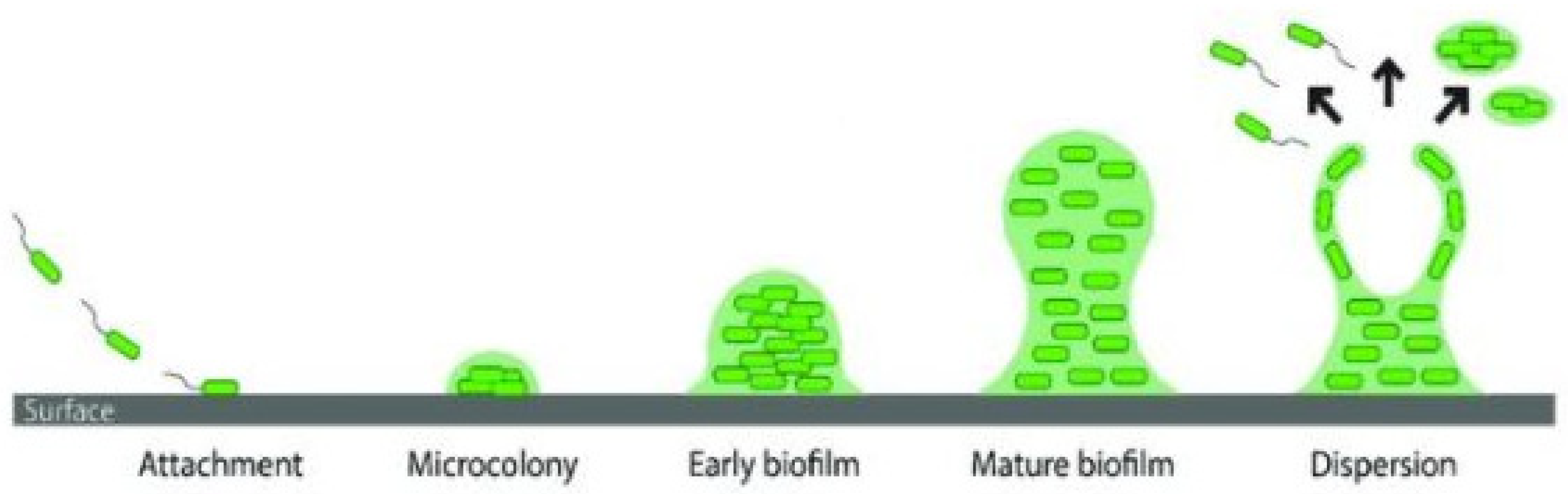 Fibers 10 00015 g013 Fibers 10 00015 g013