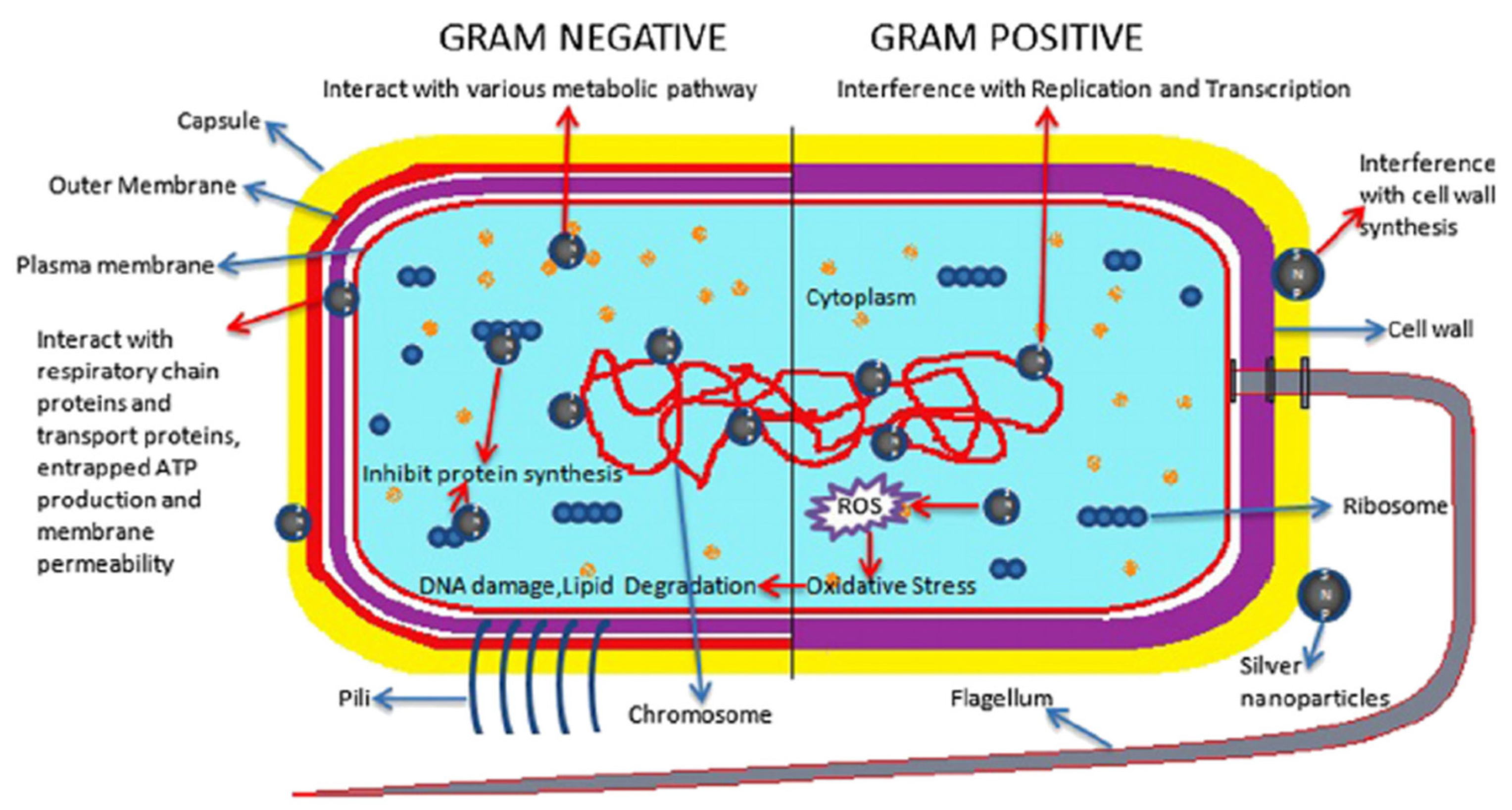 Fibers 10 00015 g014 Fibers 10 00015 g014
