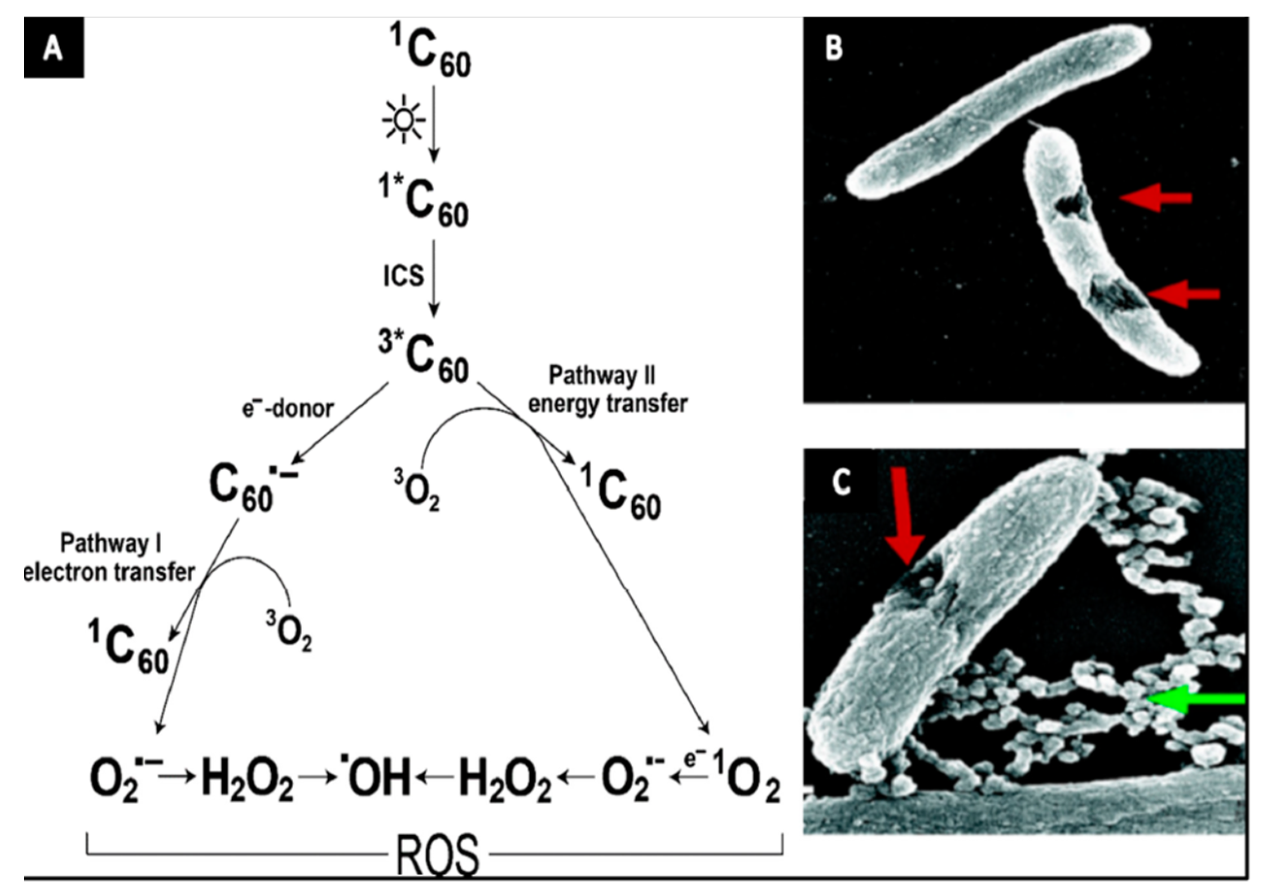 Fibers 10 00015 g015 Fibers 10 00015 g015