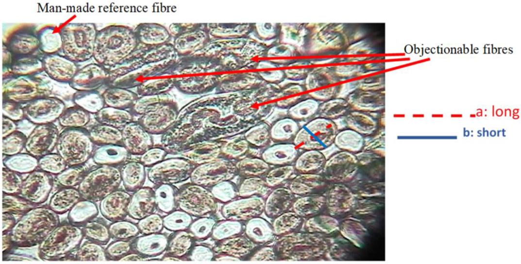 Fibers 10 00018 g001 Fibers 10 00018 g001