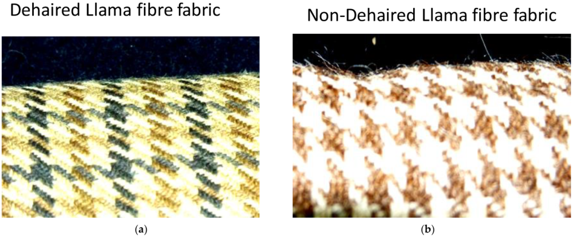 Fibers 10 00018 g004 Fibers 10 00018 g004