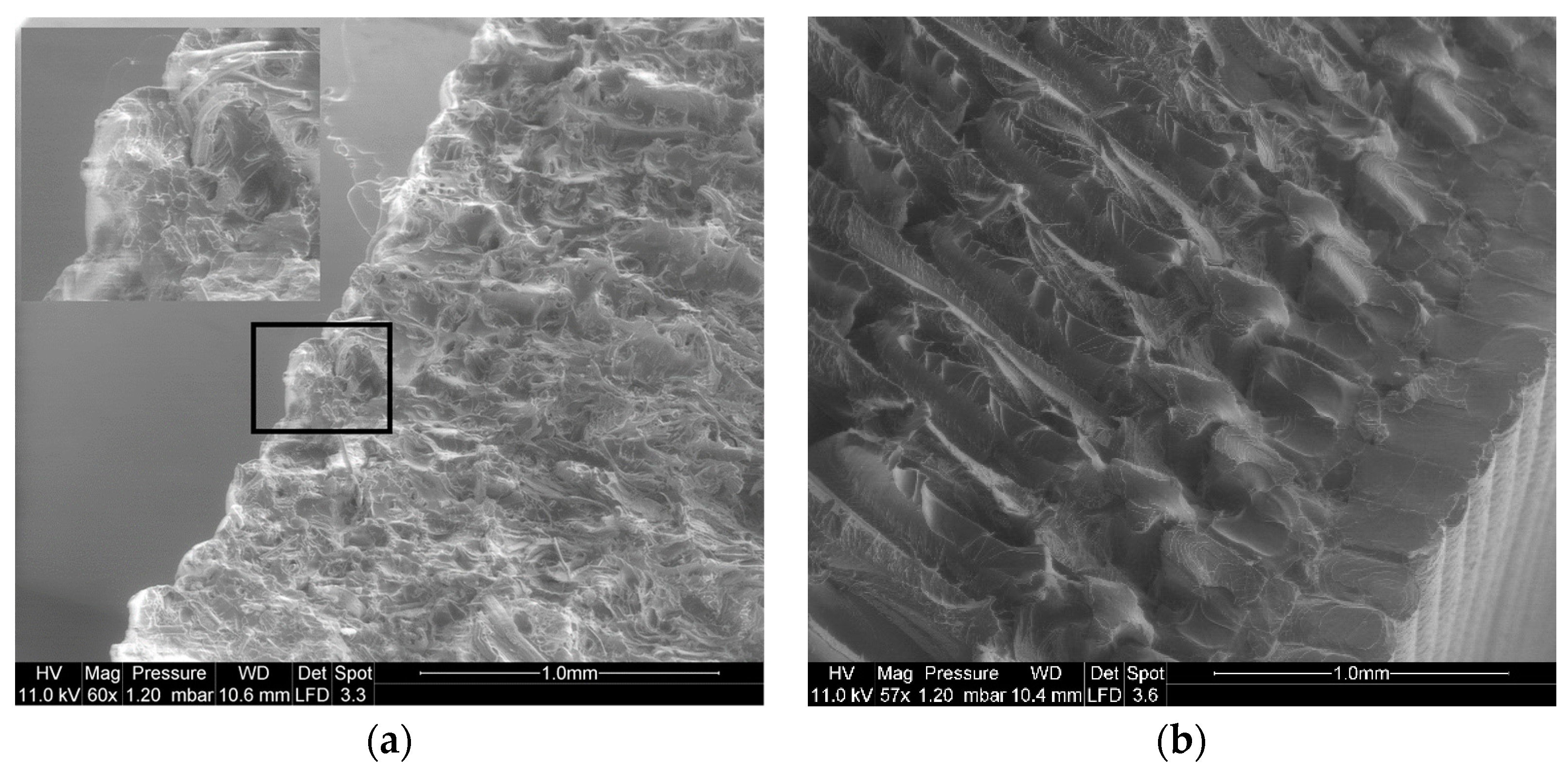 Fibers 10 00024 g011