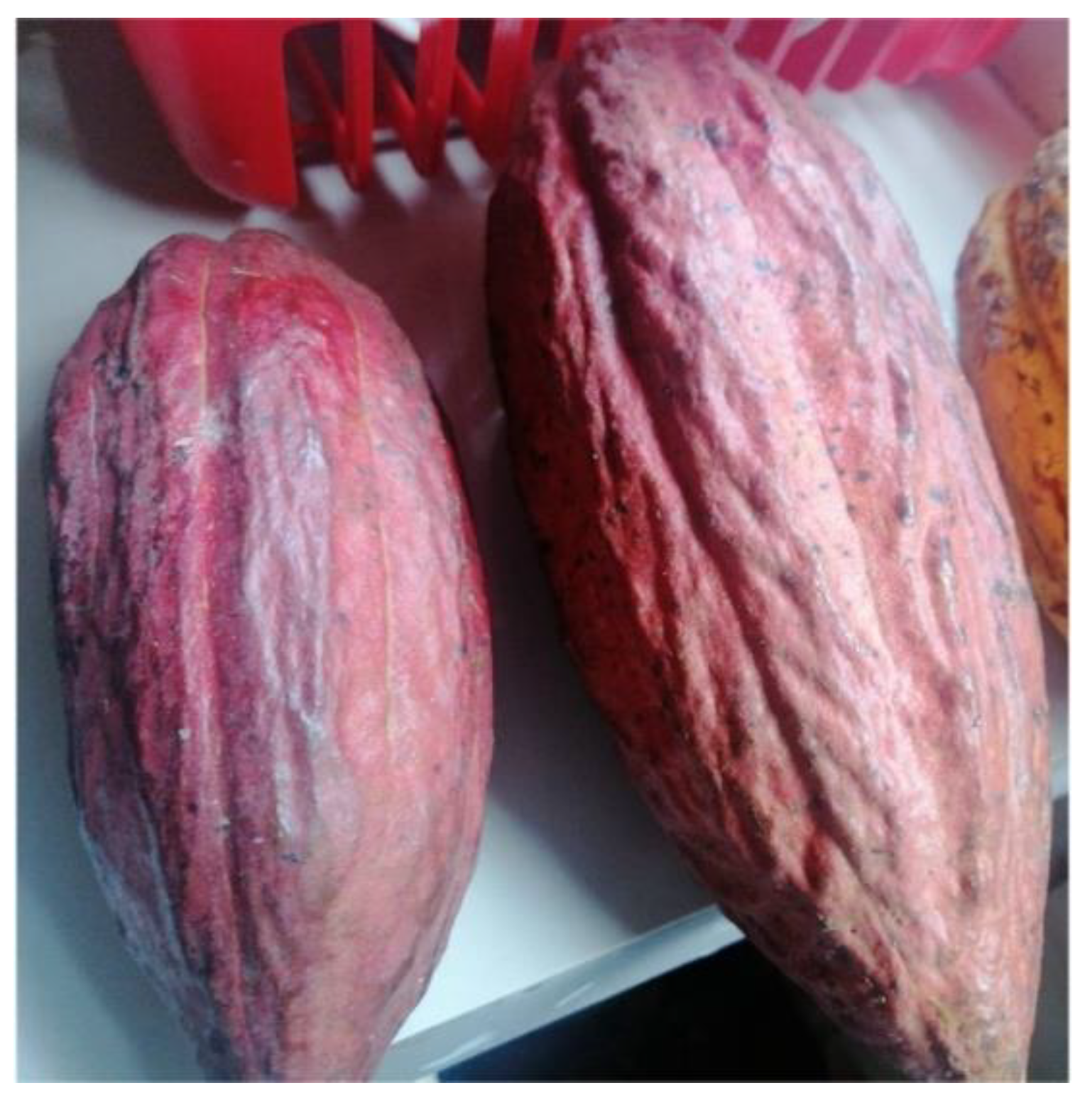 Fibers 10 00025 g001 Fibers 10 00025 g001