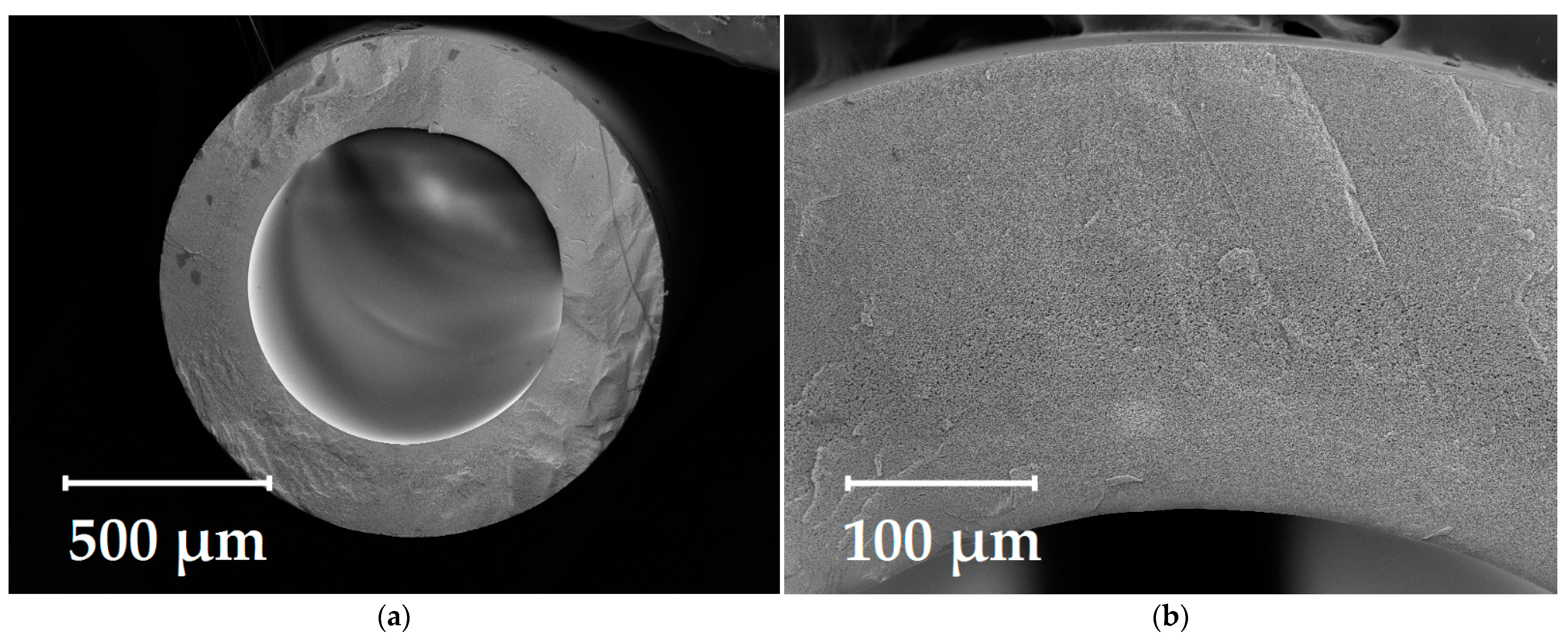 Fibers 10 00029 g001 550