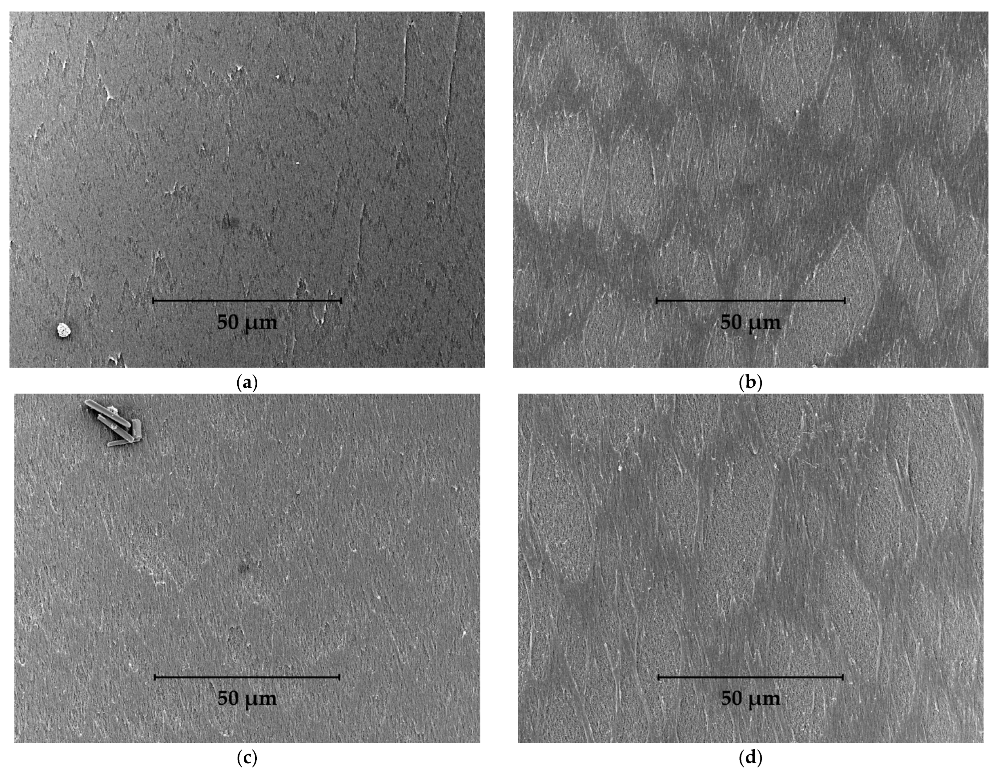 Fibers 10 00029 g003 550