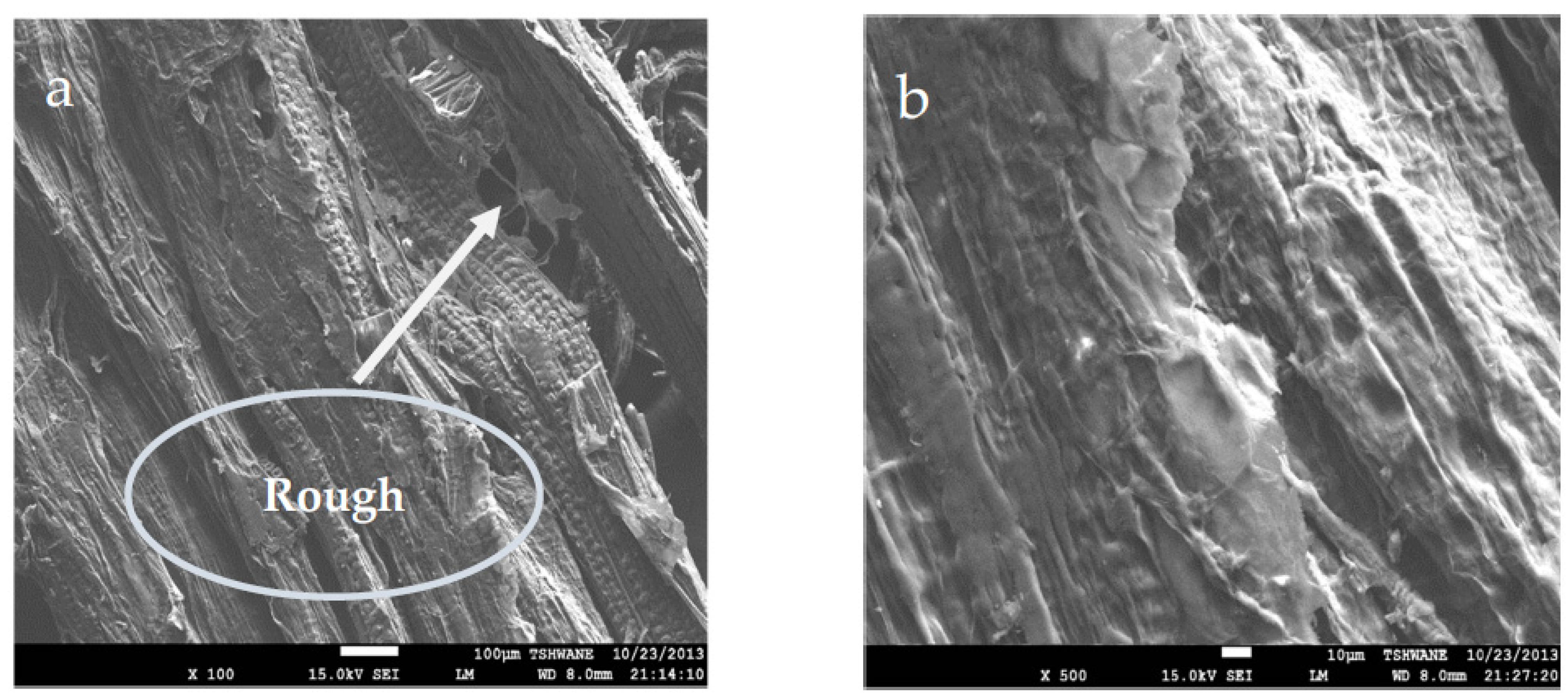 Fibers 10 00030 g002