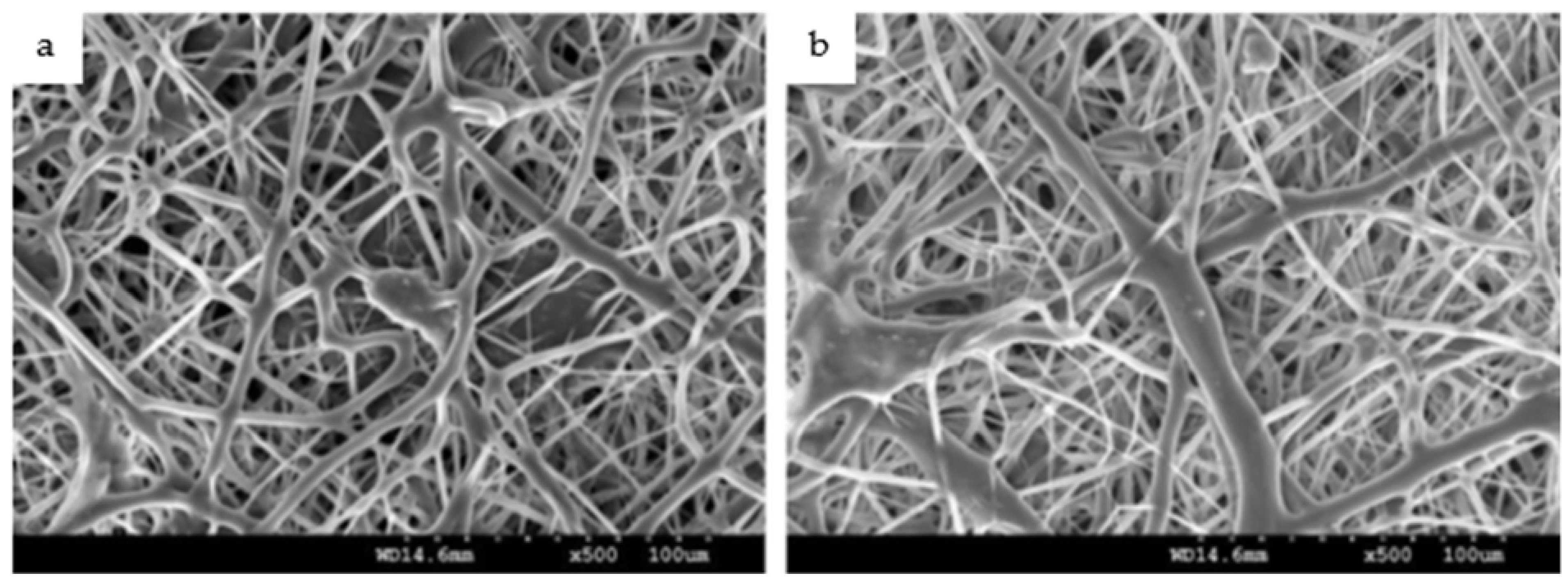 Fibers 10 00036 g003