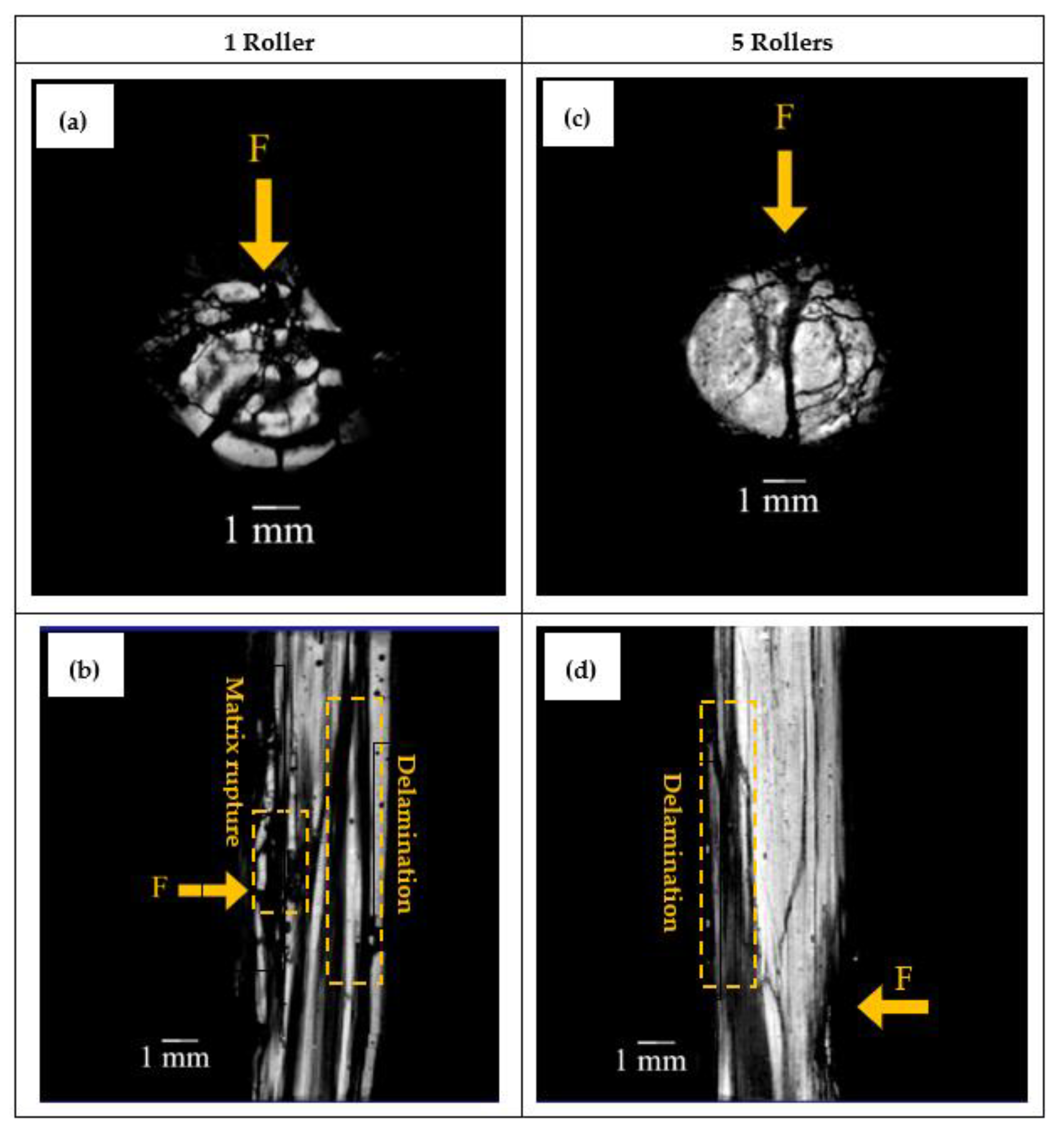Fibers 10 00042 g008 550