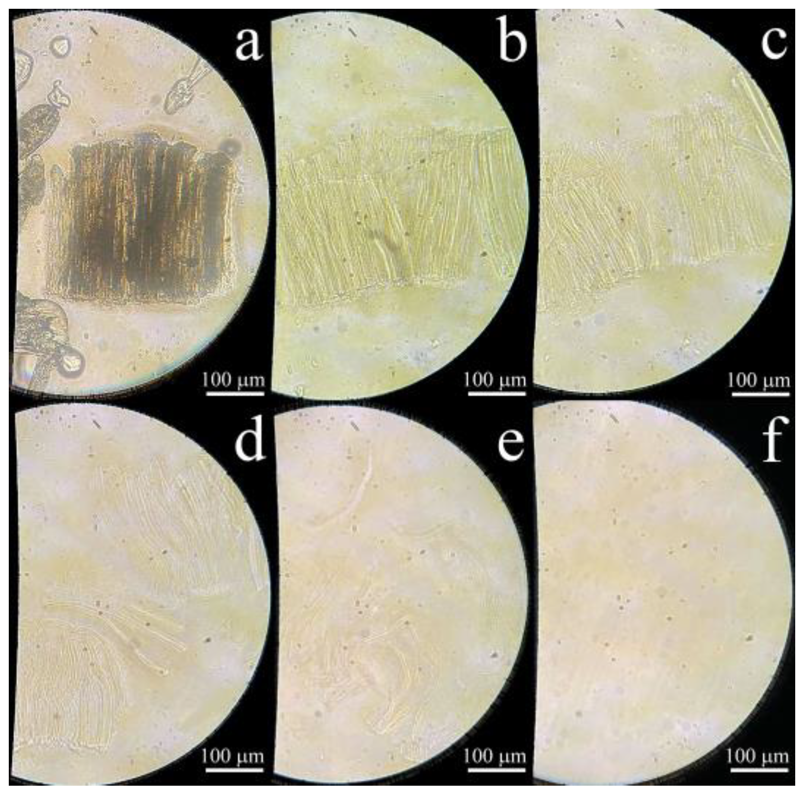 Fibers 10 00045 g006
