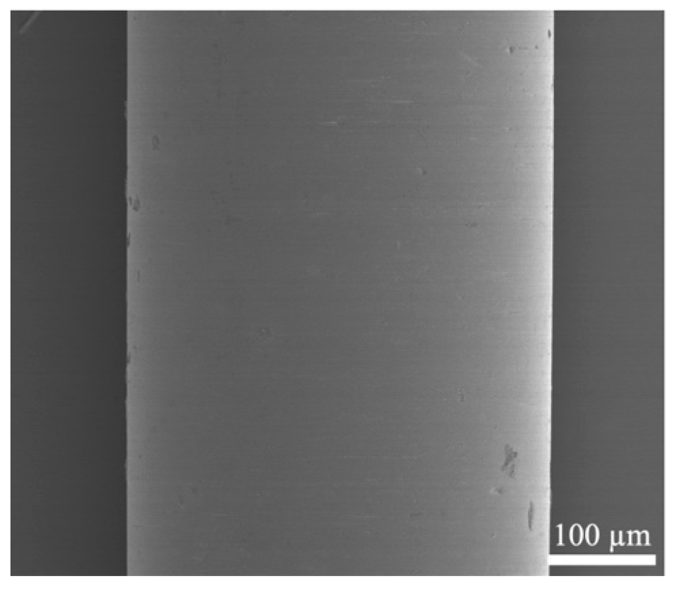 Fibers 10 00048 g001