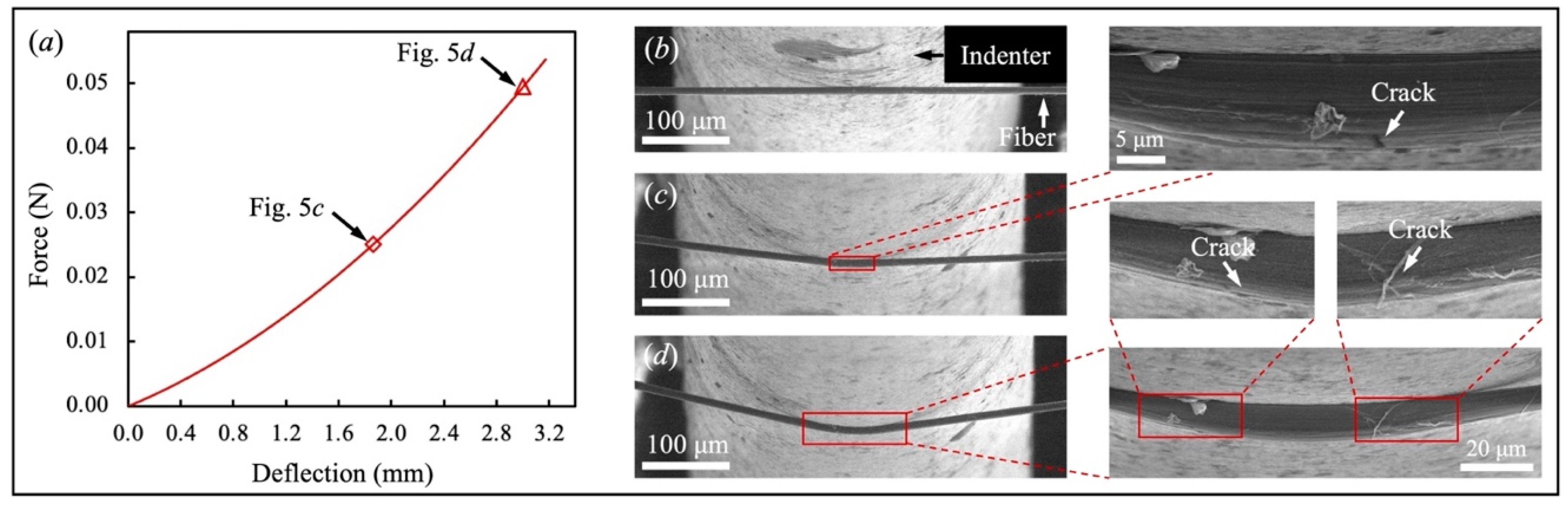 Fibers 10 00048 g005