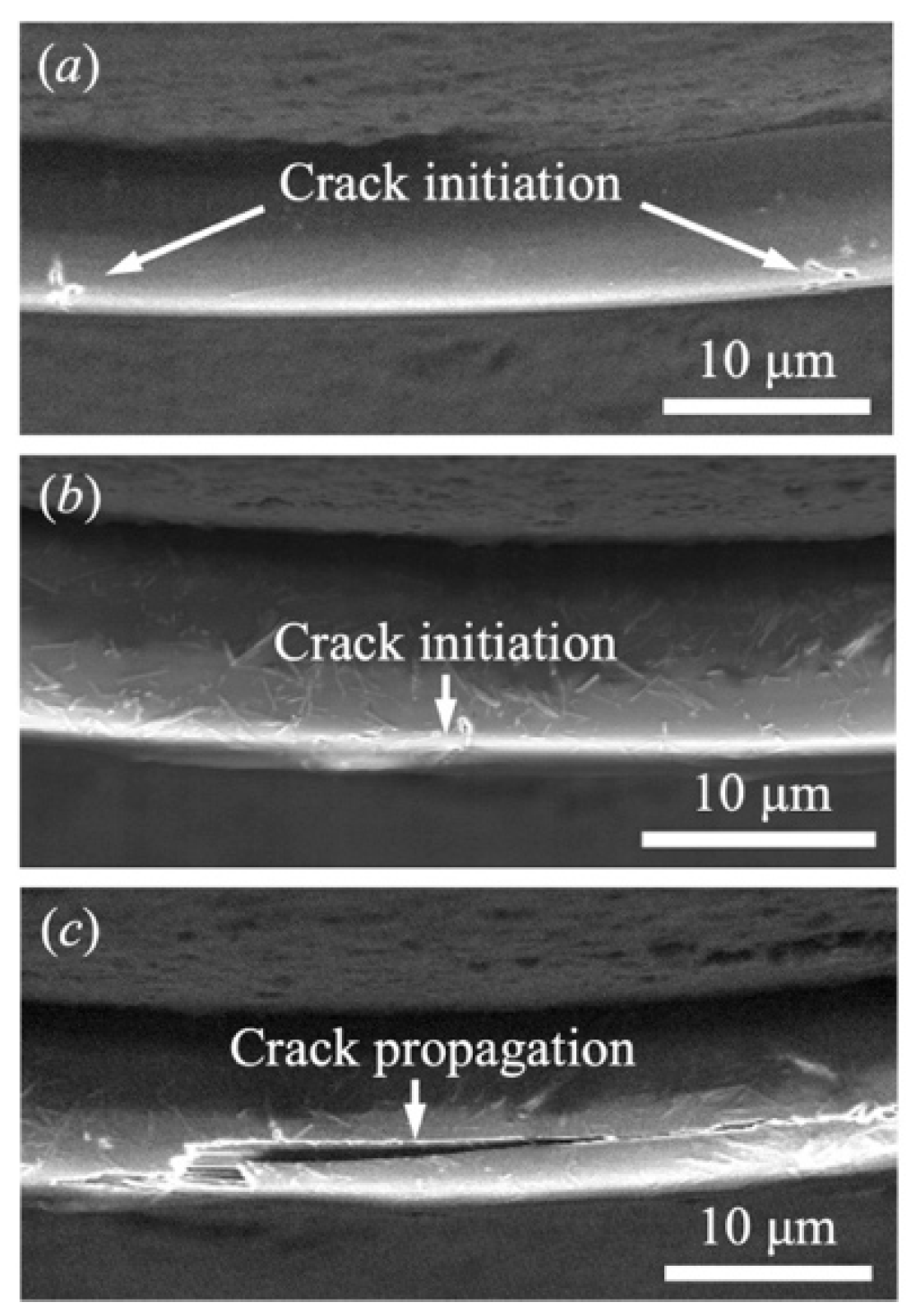 Fibers 10 00048 g009