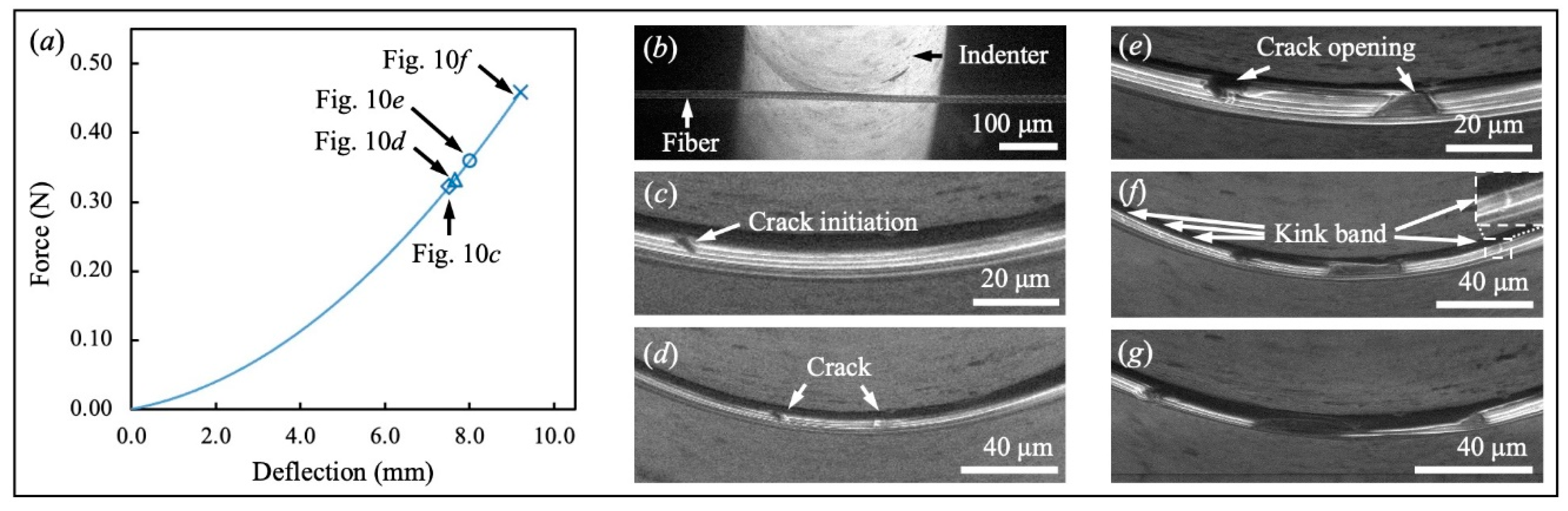 Fibers 10 00048 g010