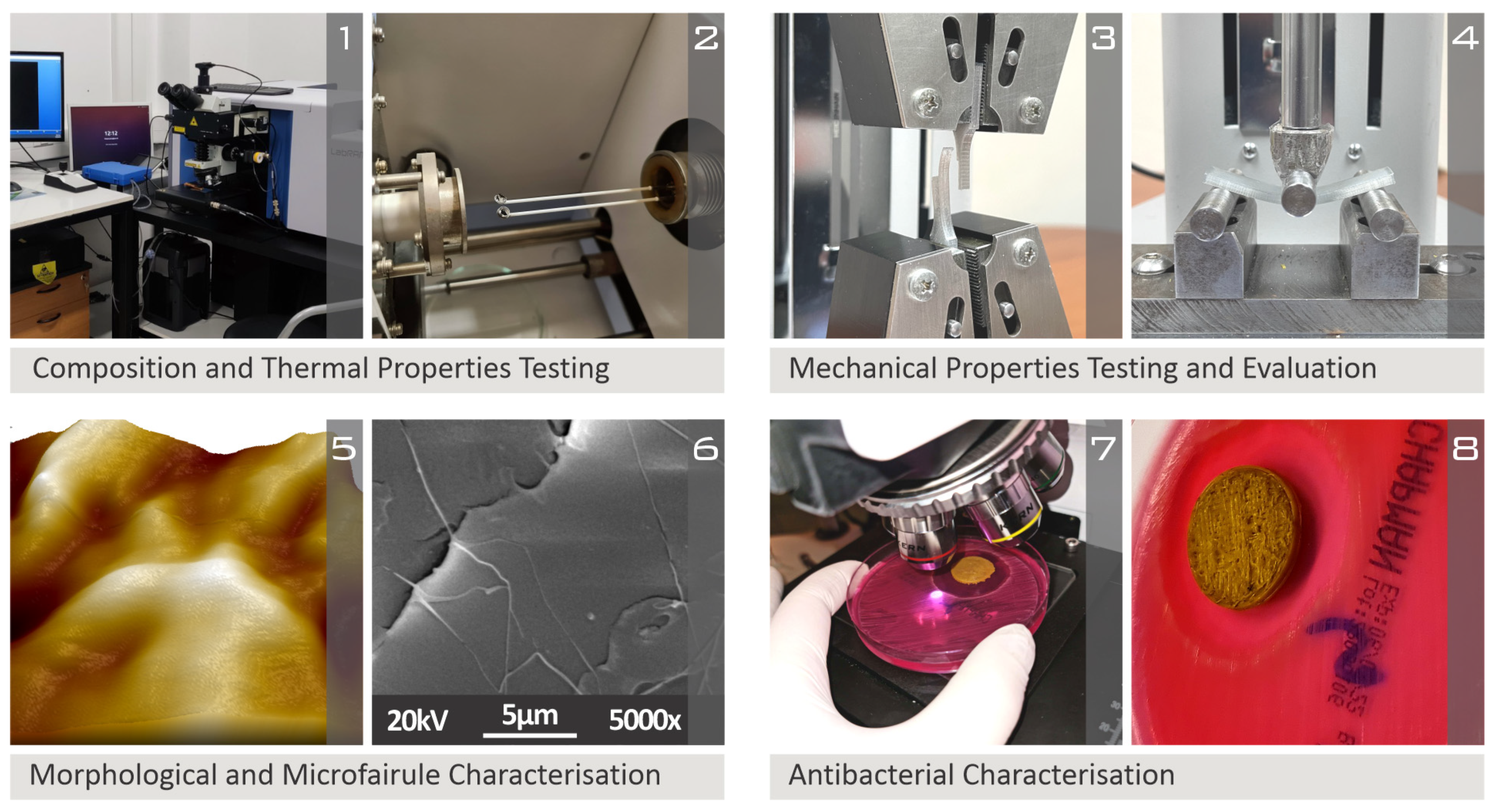 Fibers 10 00052 g002