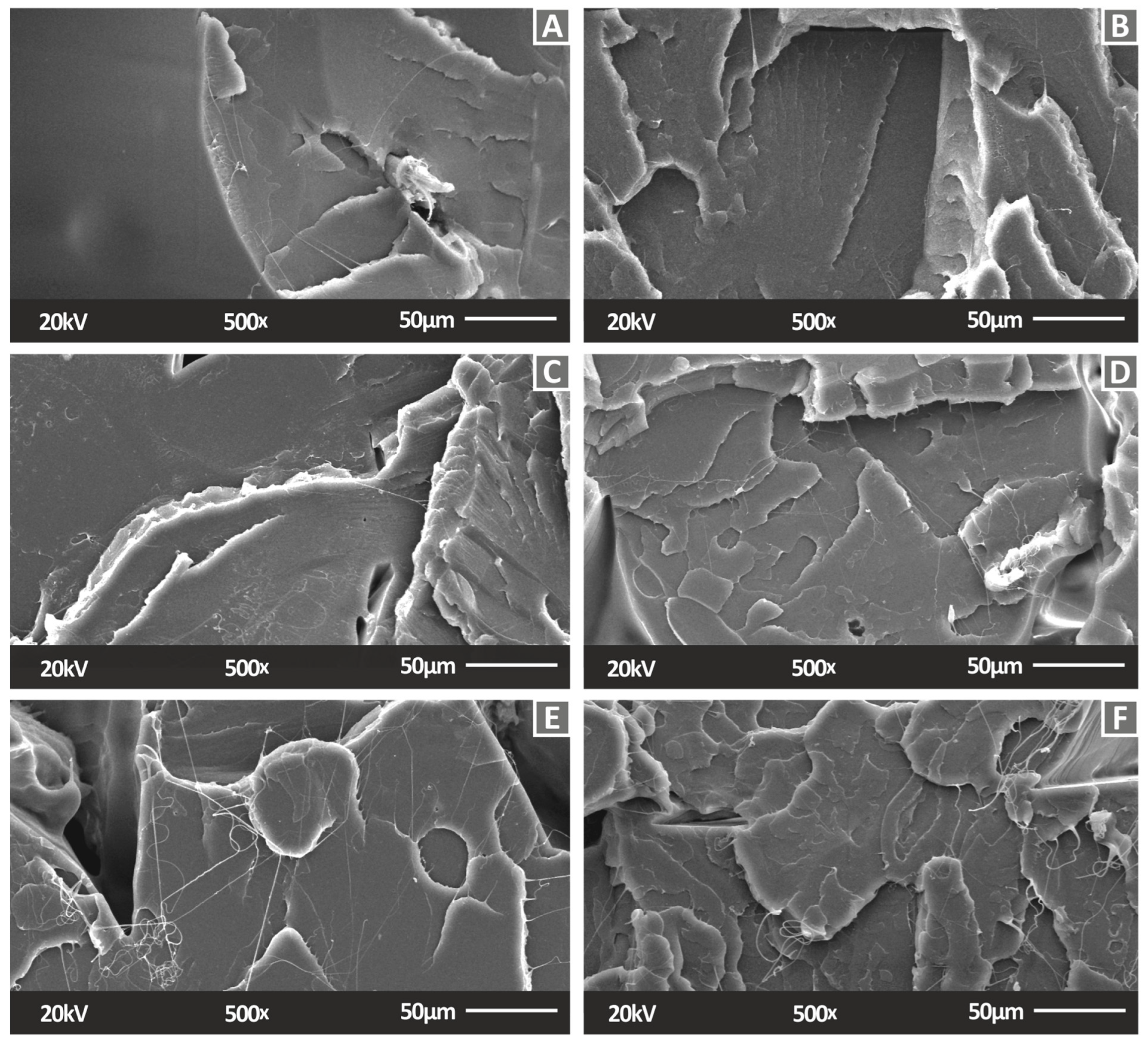 Fibers 10 00052 g013