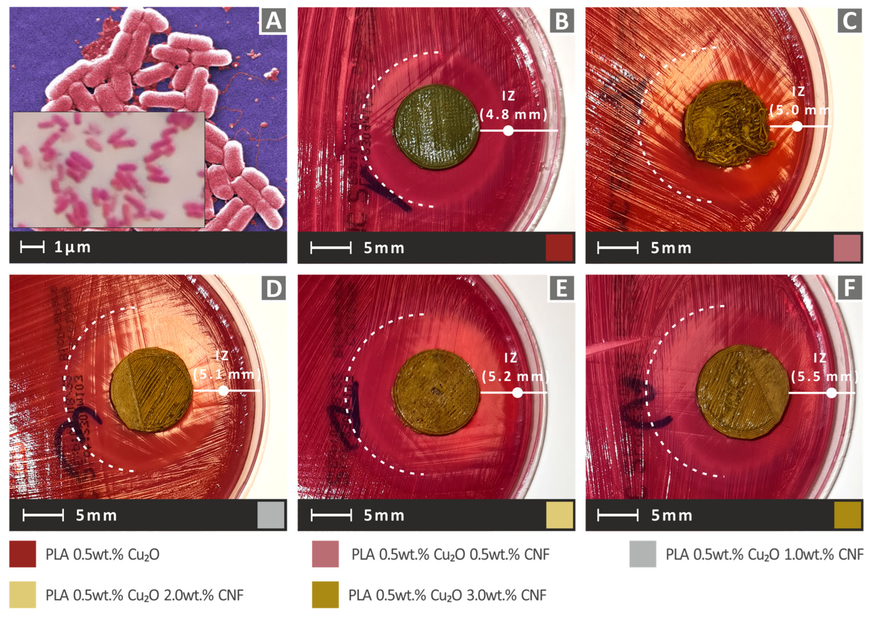 Fibers 10 00052 g016
