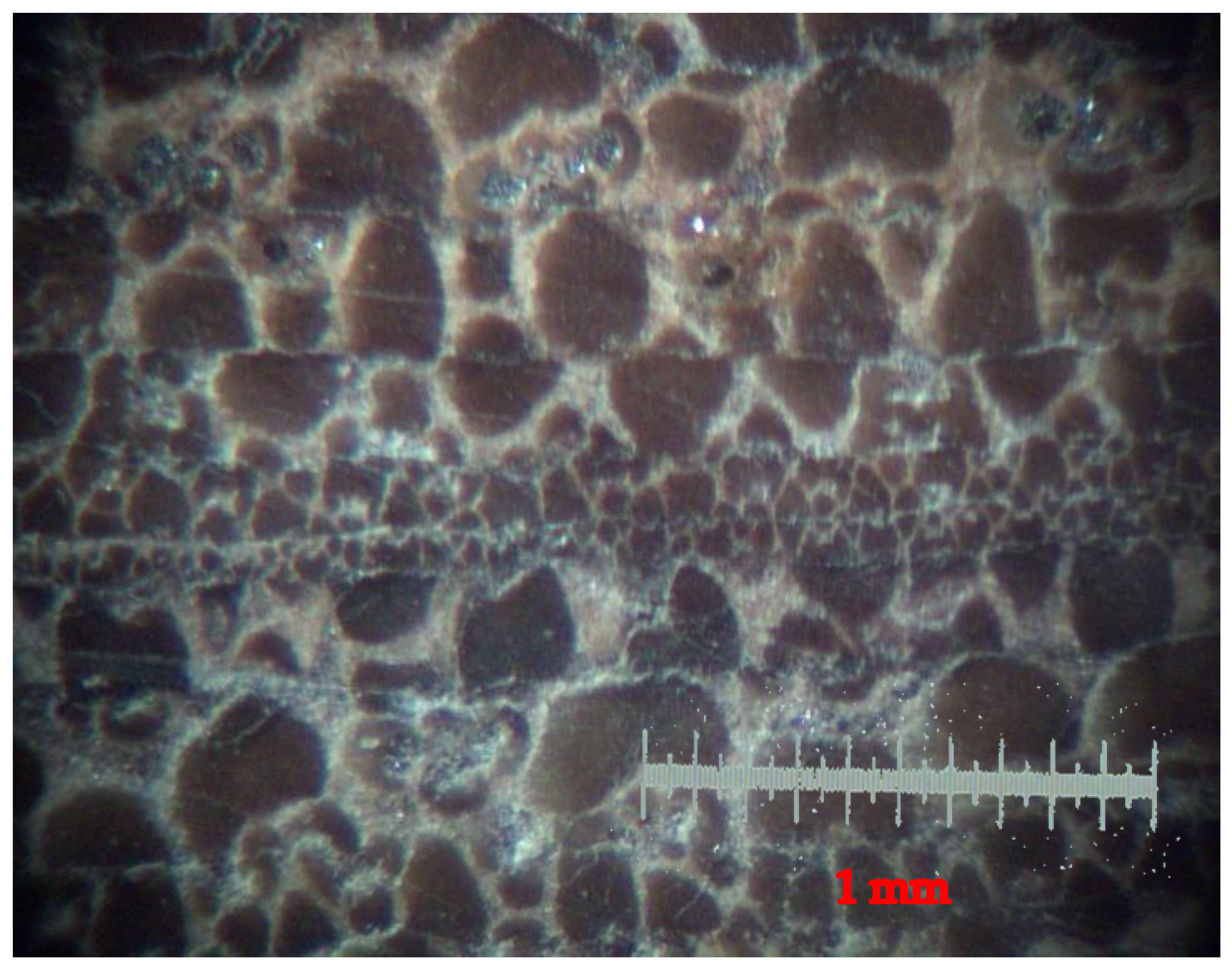 Fibers 10 00059 g003 550