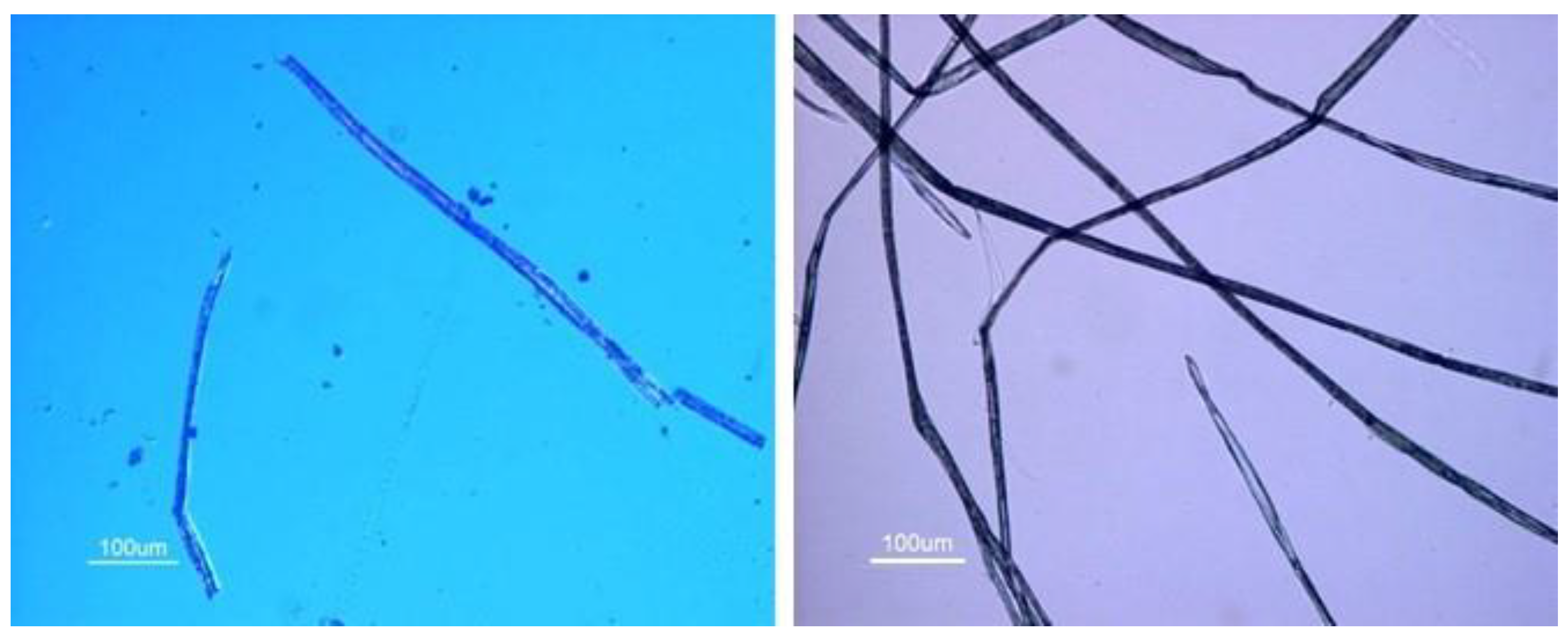 Fibers 10 00063 g004