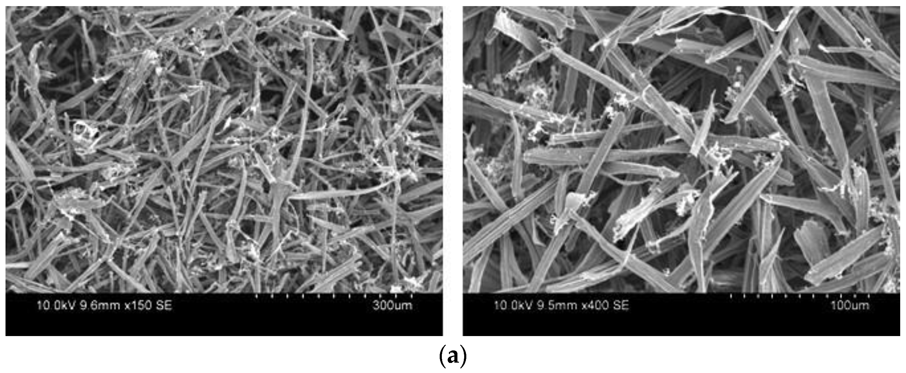 Fibers 10 00063 g005a