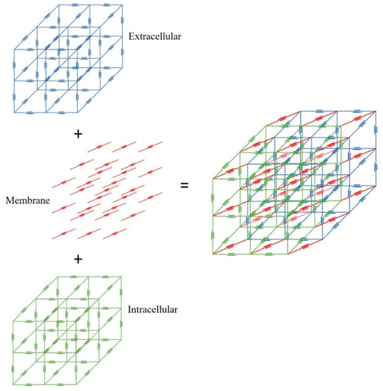 Indentation of Anisotropic Tissue Using a Three-Dimensional 