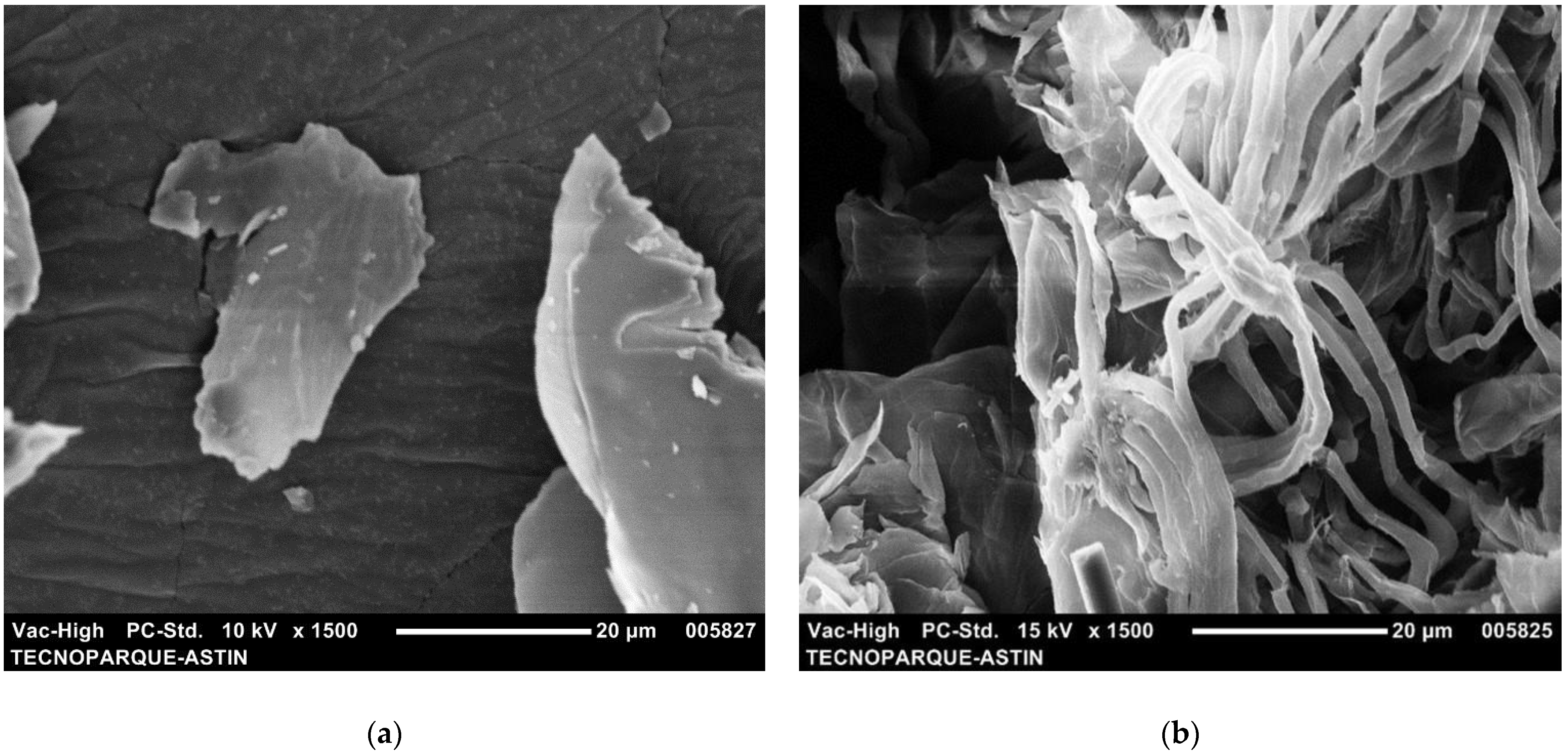 Fibers 10 00073 g001