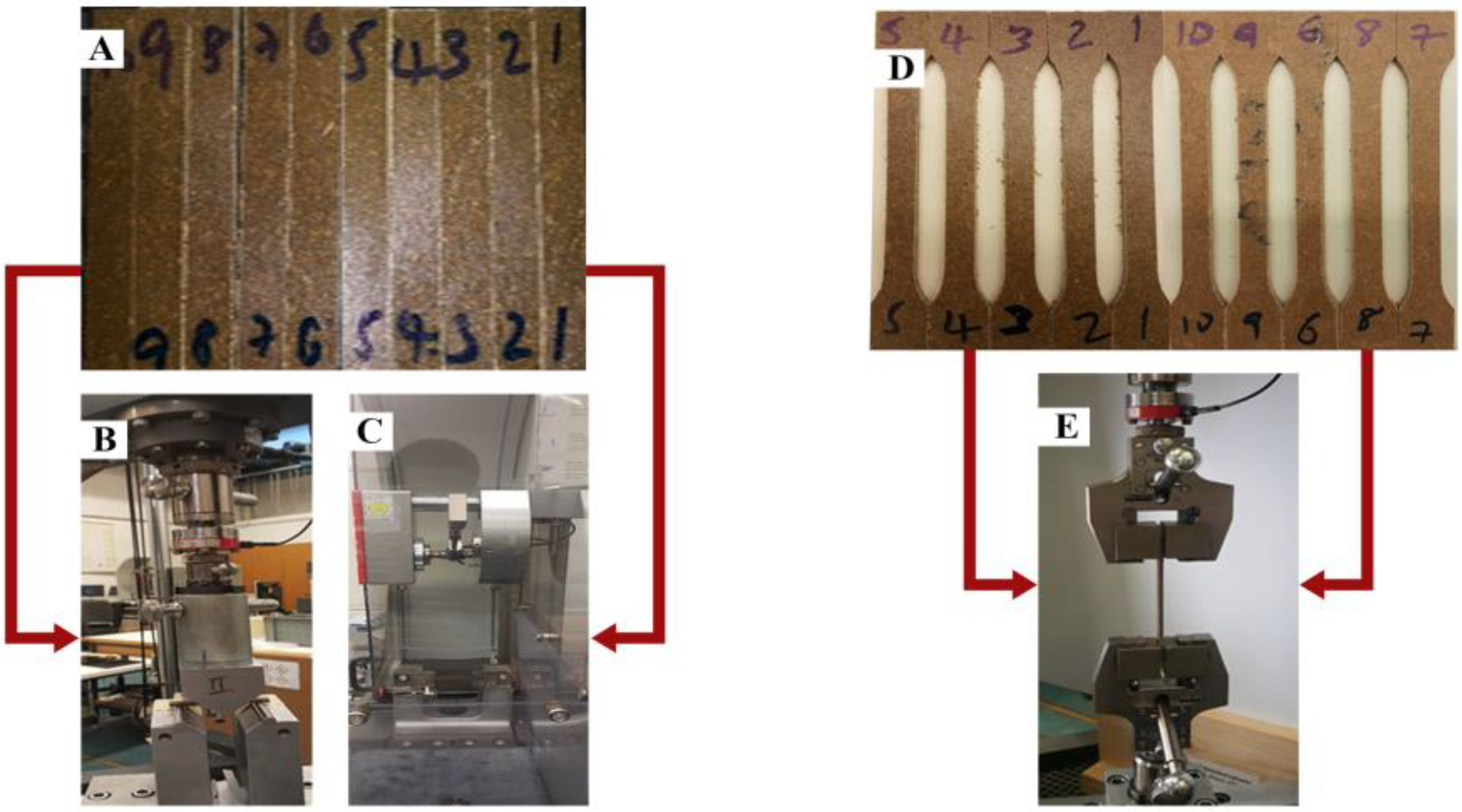 Fibers 10 00085 g004 Fibers 10 00085 g004
