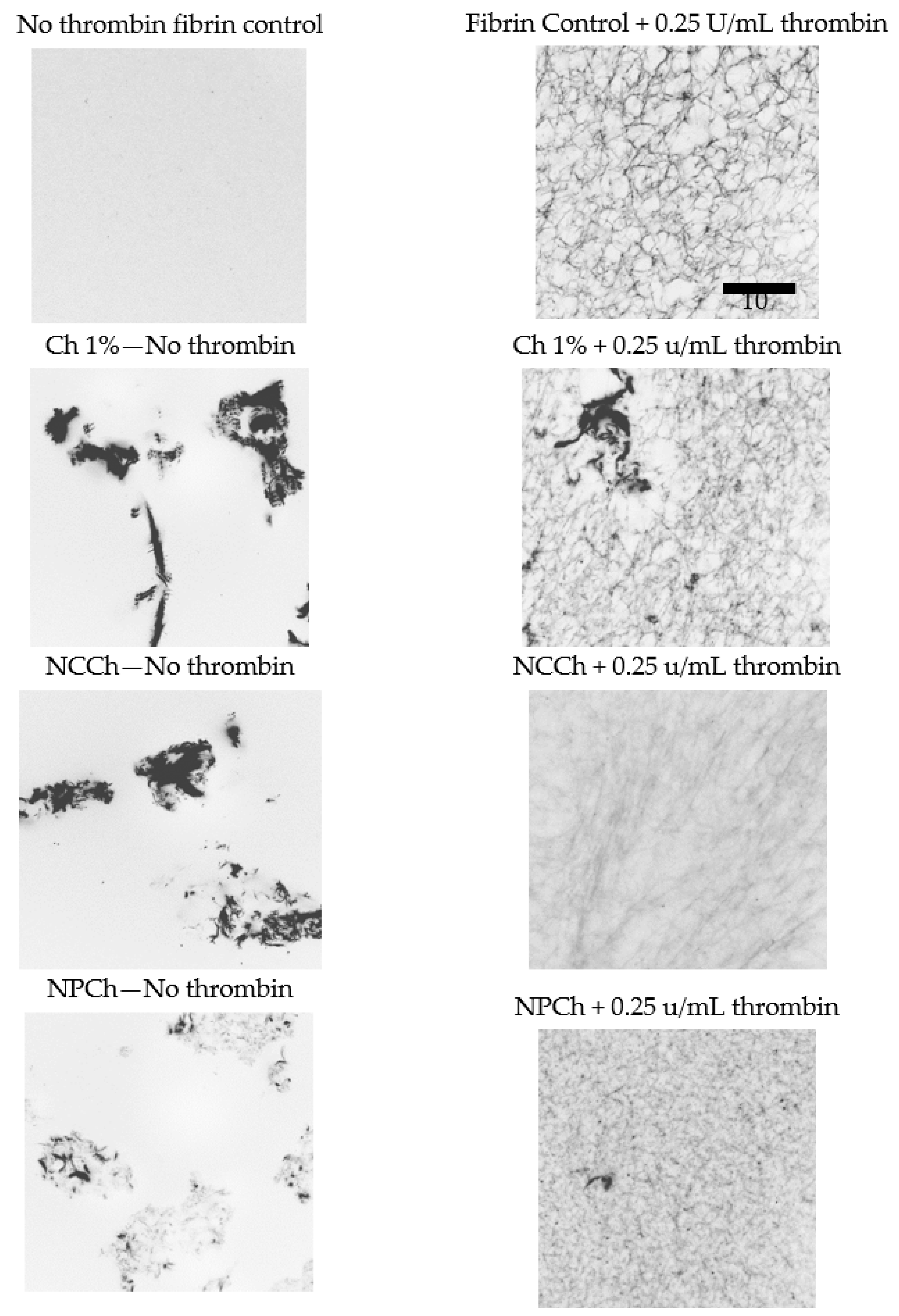 Fibers 10 00087 g007