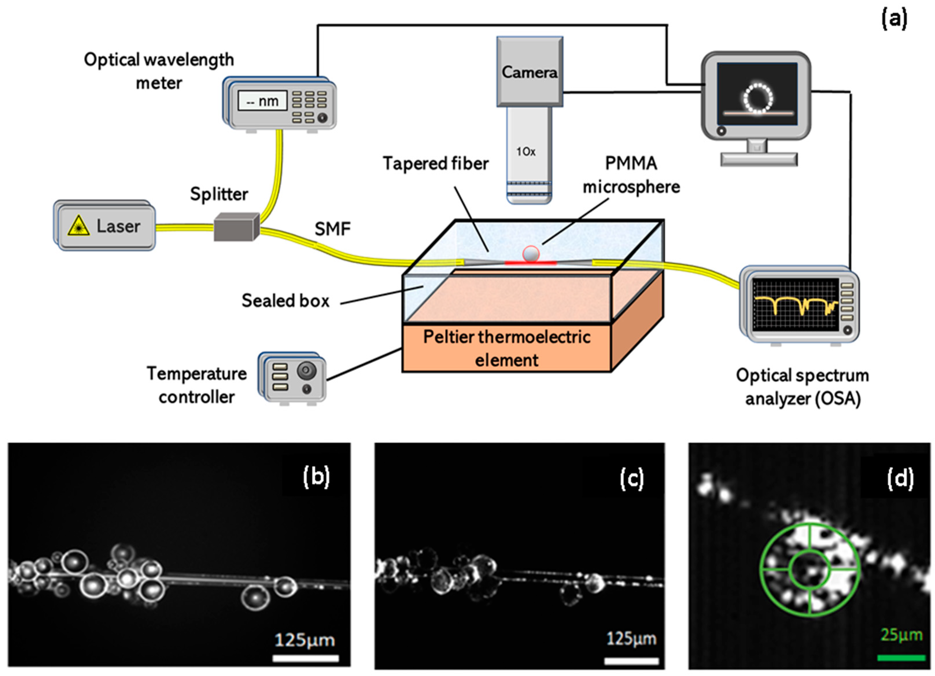 Fibers 10 00090 g001 Fibers 10 00090 g001