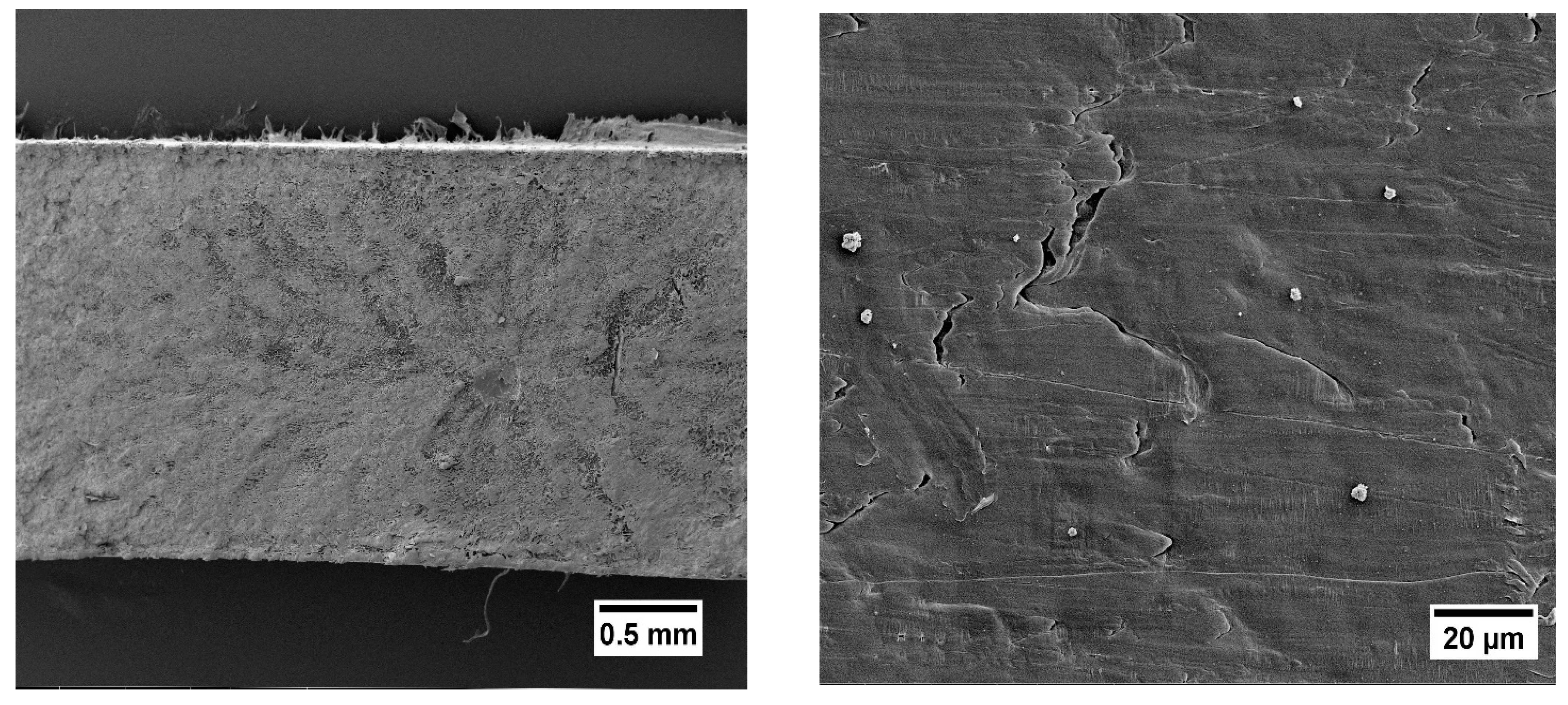 Fibers 10 00091 g006 Fibers 10 00091 g006