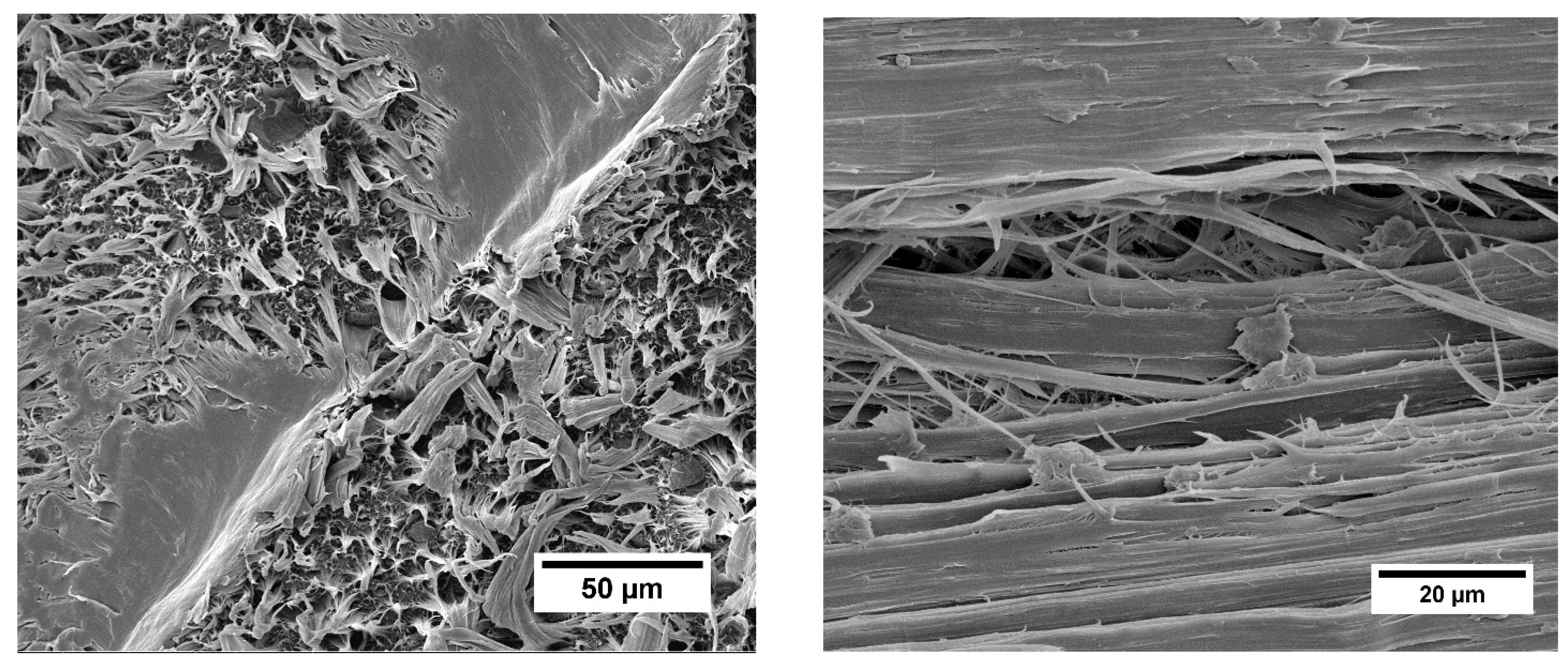 Fibers 10 00091 g007 Fibers 10 00091 g007