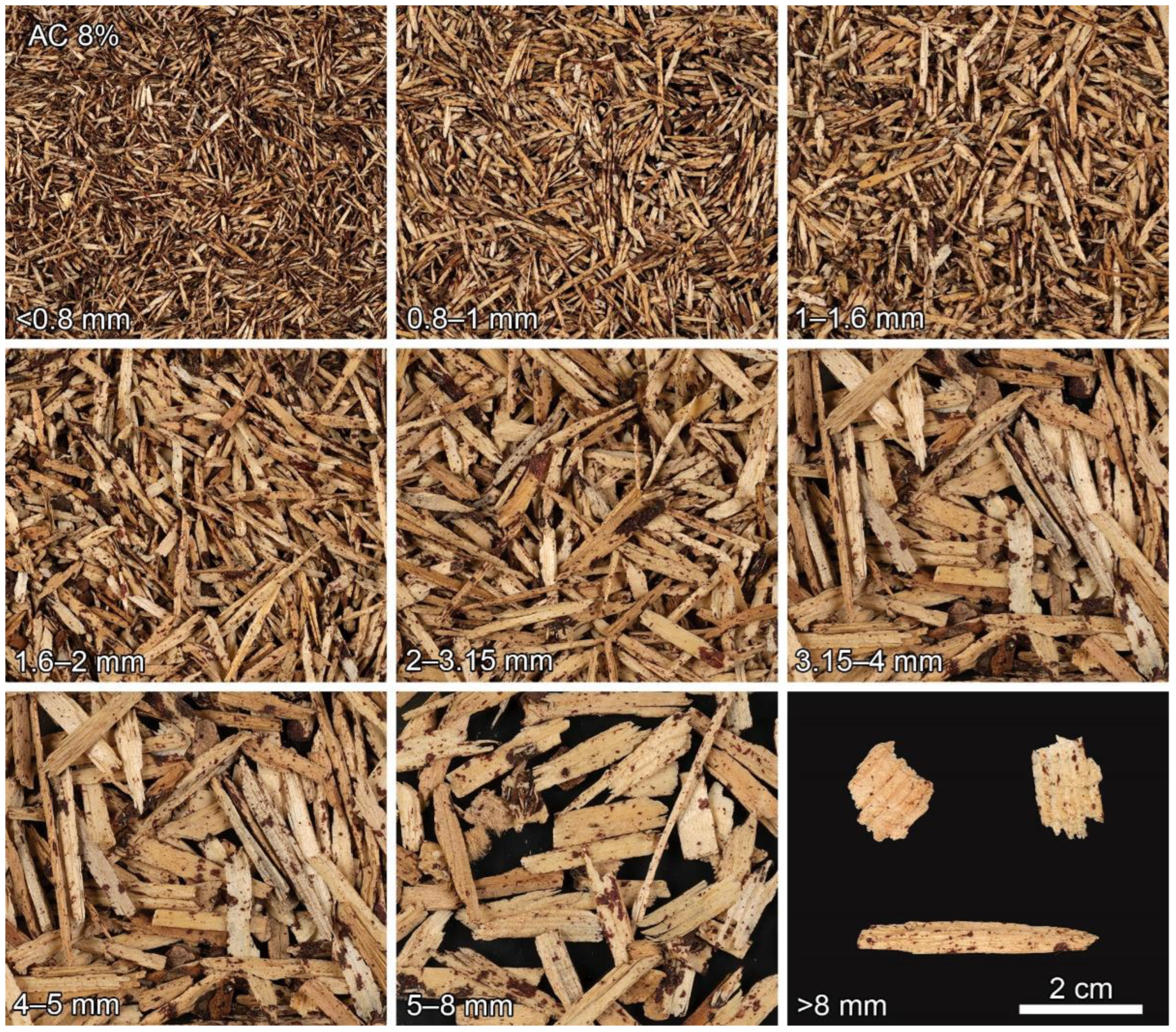 Fibers 10 00097 g002 550