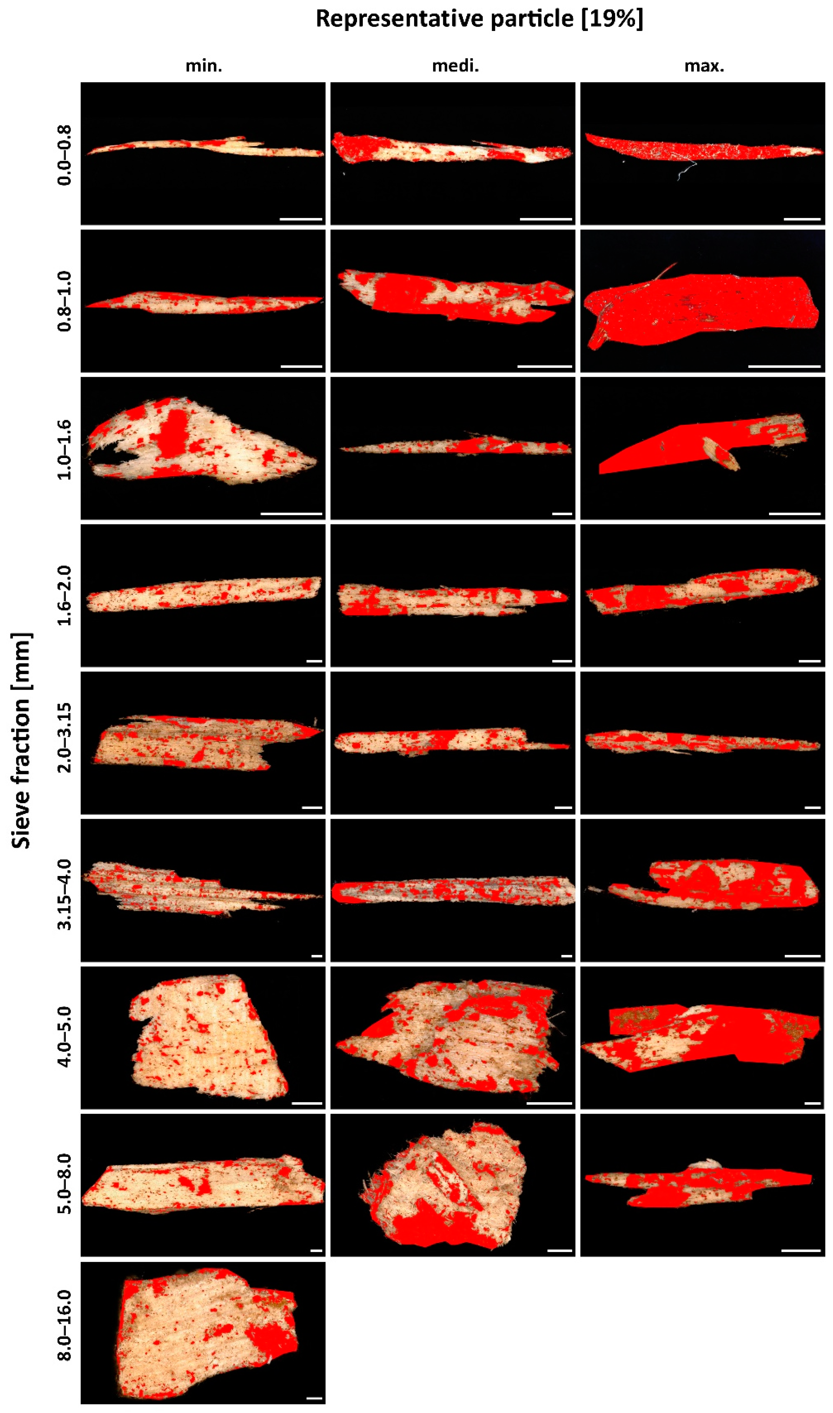 Fibers 10 00097 g010 550