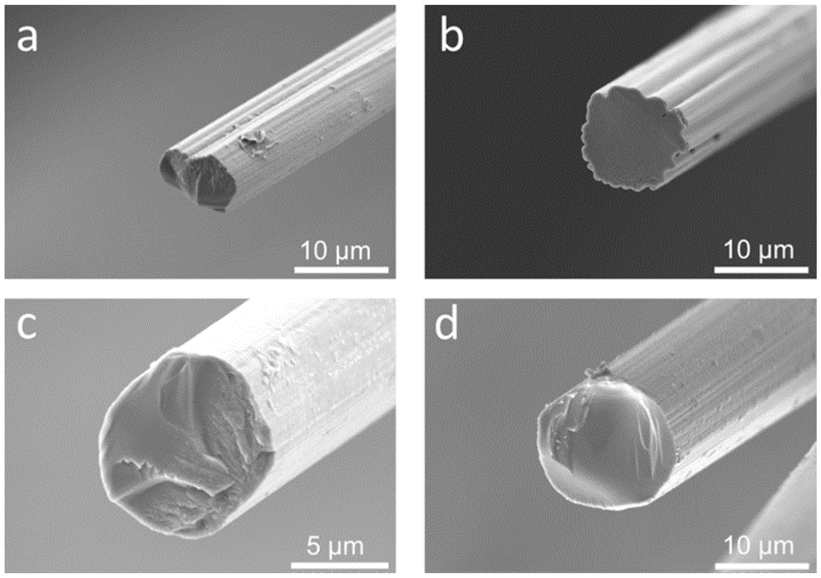 Fibers 10 00108 g009