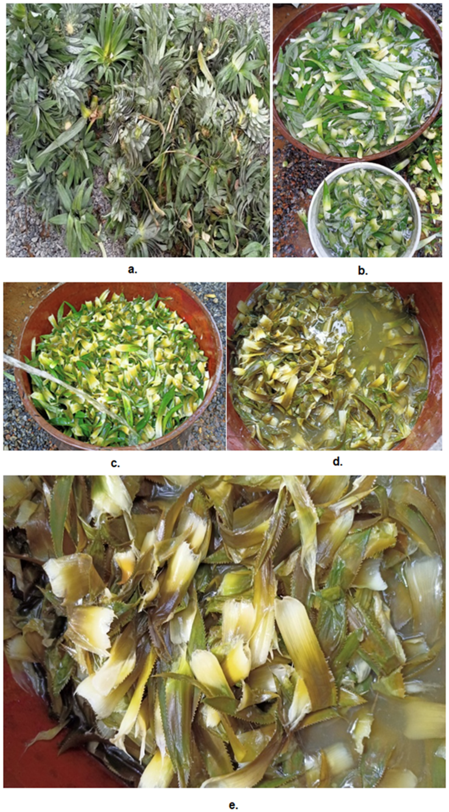 Fibers 11 00005 g001 Fibers 11 00005 g001