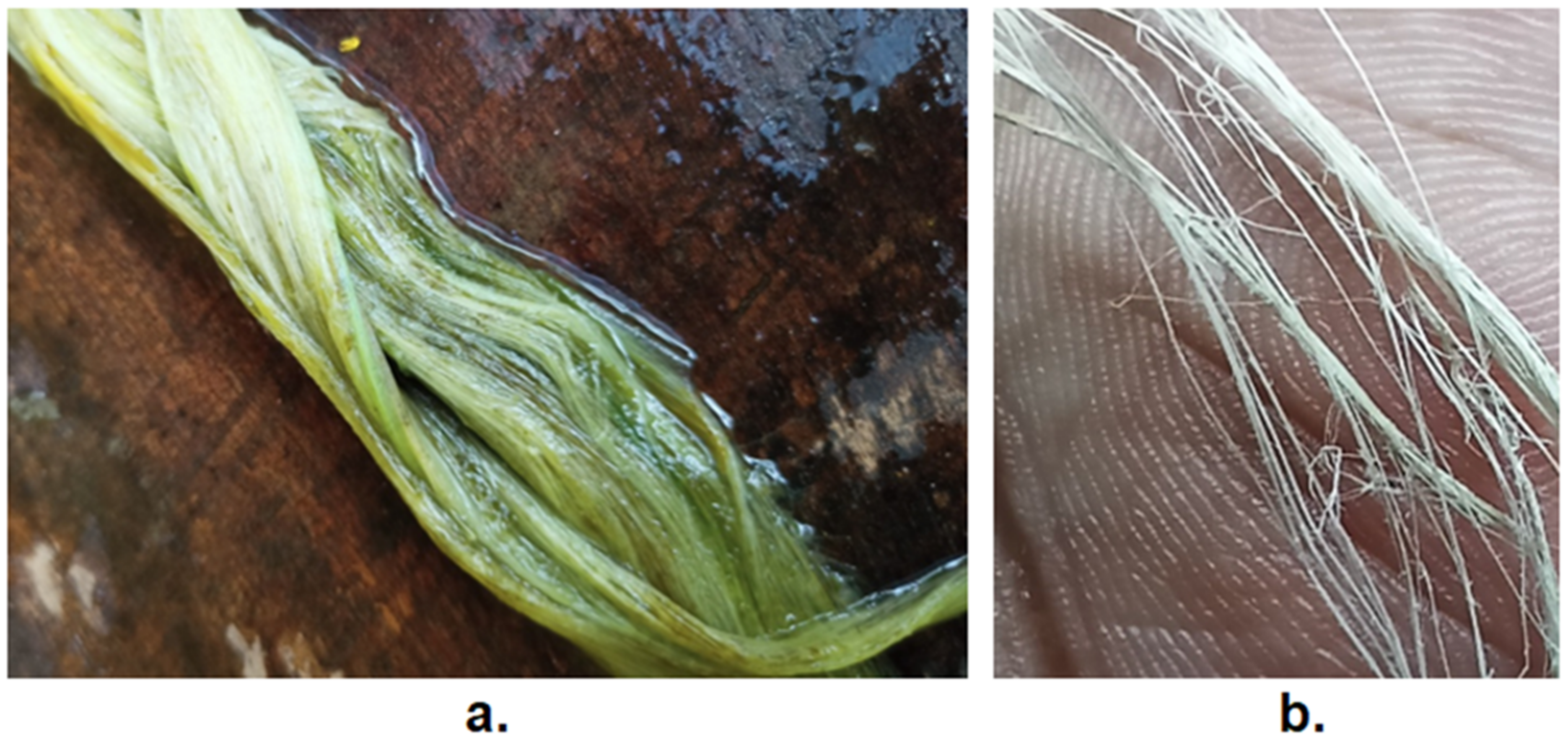 Fibers 11 00005 g002 Fibers 11 00005 g002