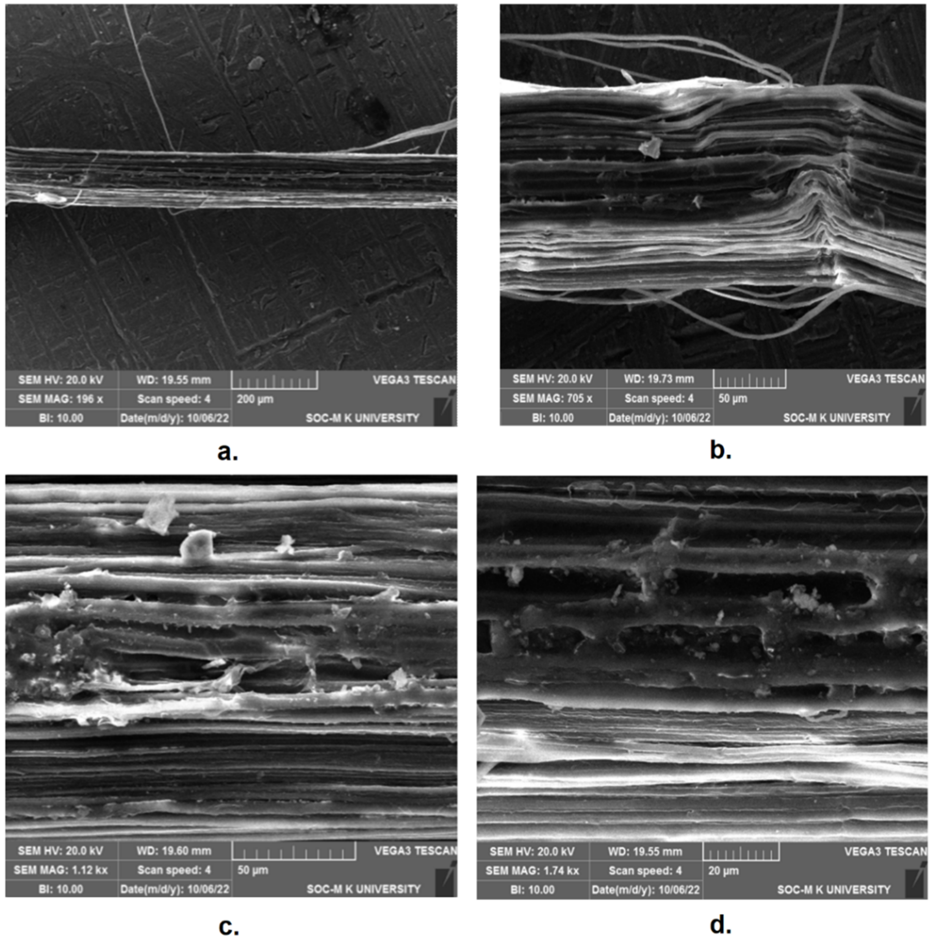 Fibers 11 00005 g006 Fibers 11 00005 g006